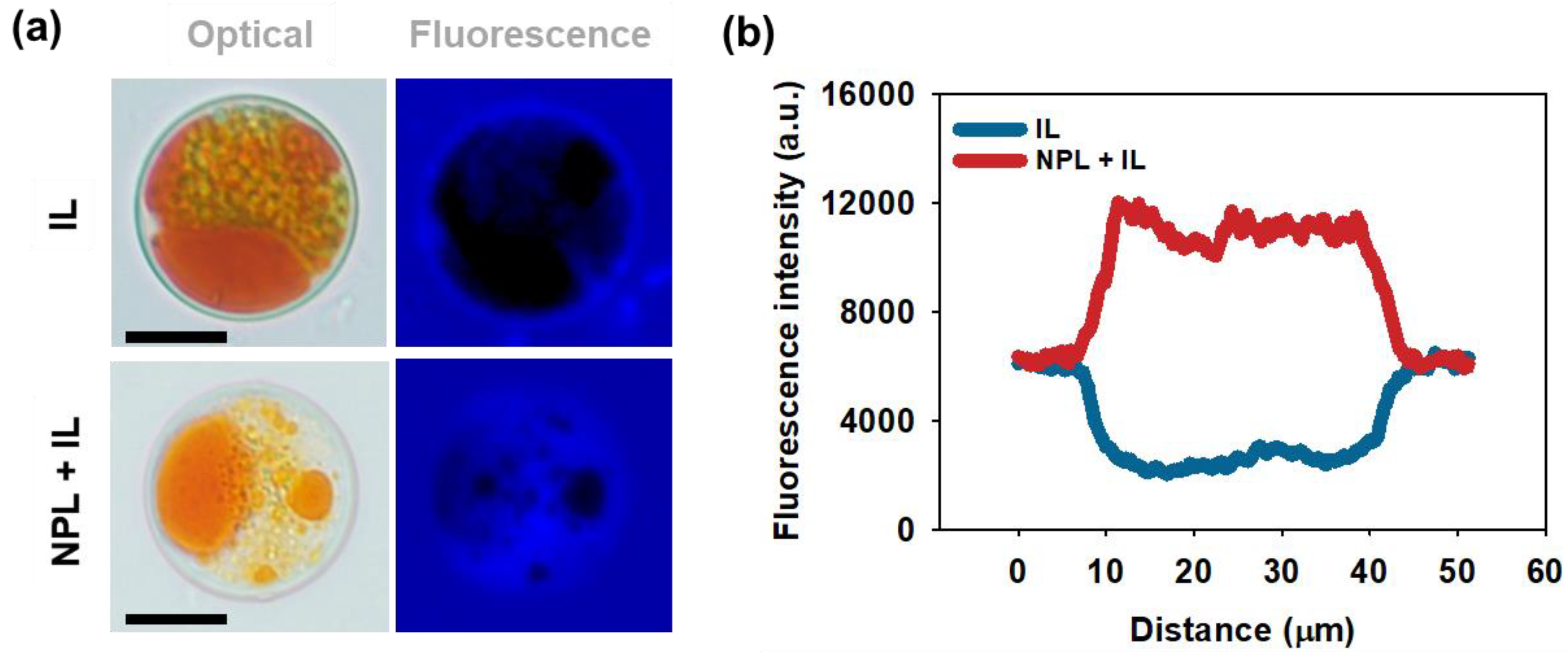 Applsci 12 02210 g004