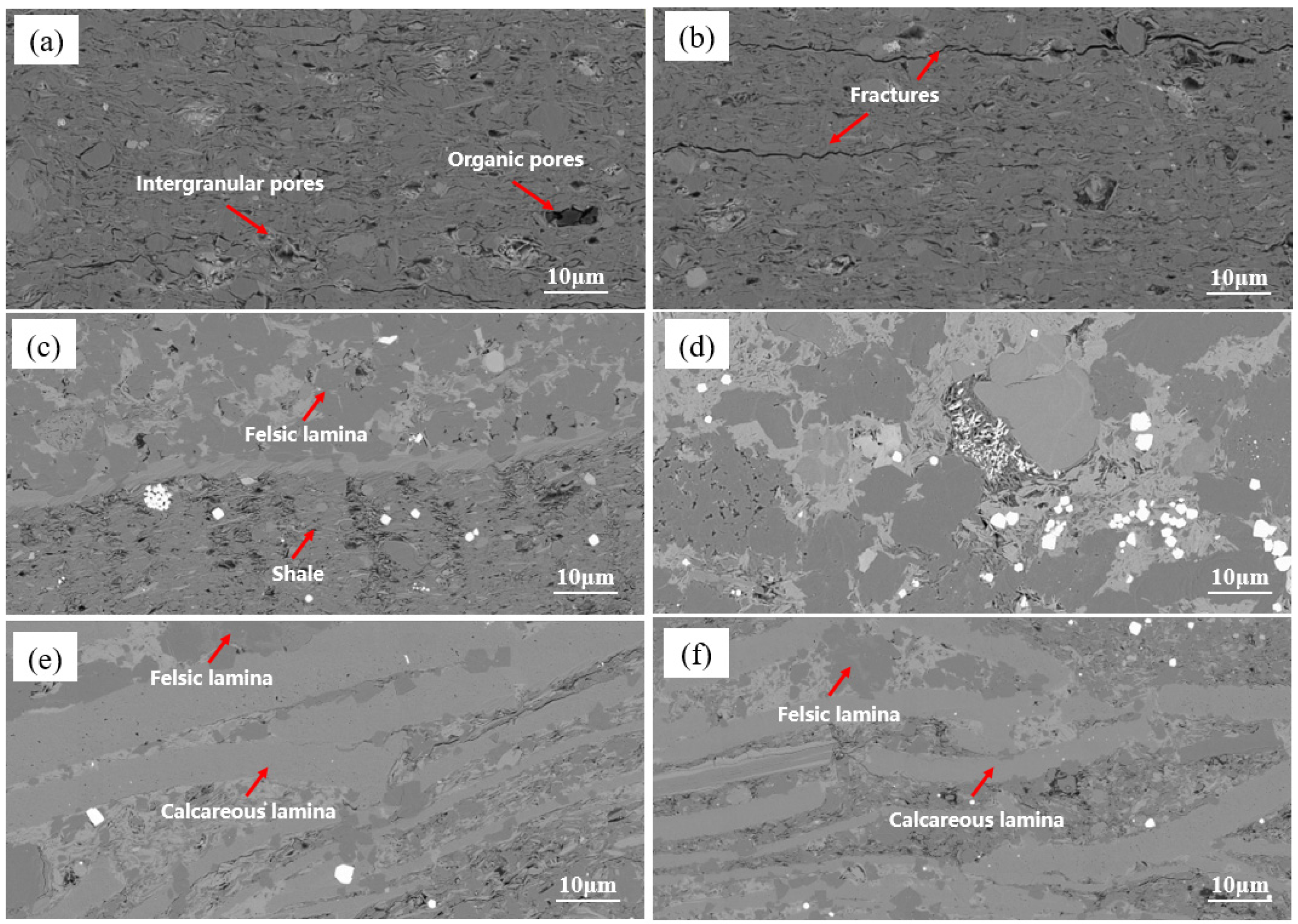 Applsci 12 02217 g006