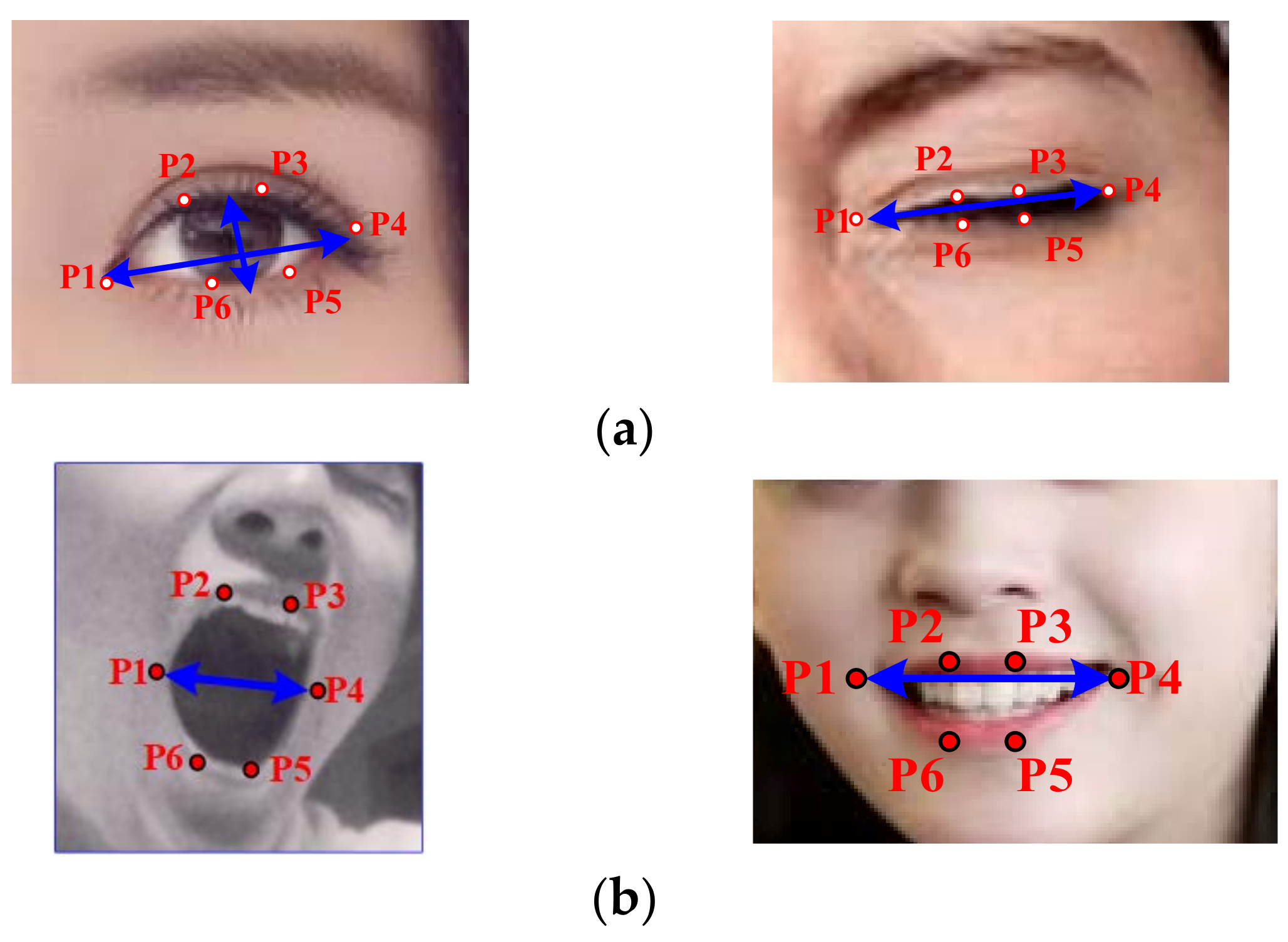 Applsci 12 02224 g005a 550