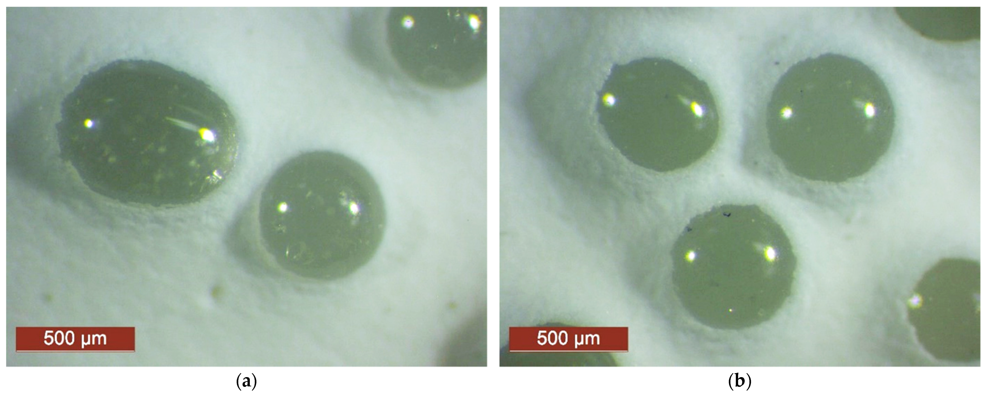 Applsci 12 02258 g005a