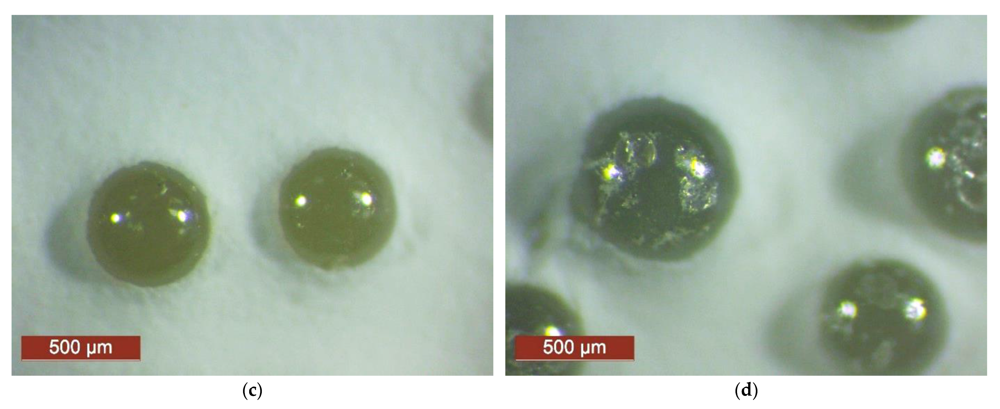 Applsci 12 02258 g006b