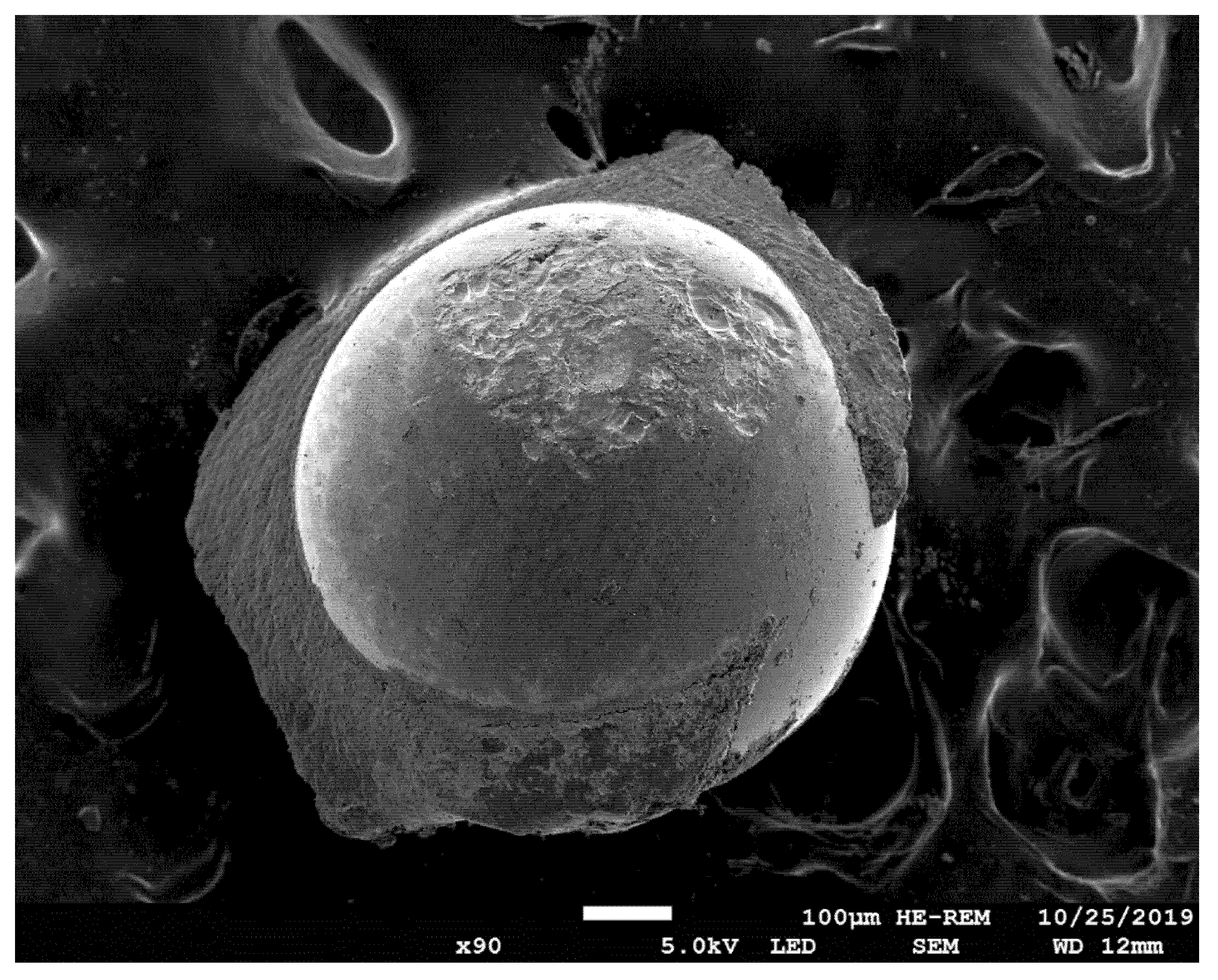 Applsci 12 02258 g009