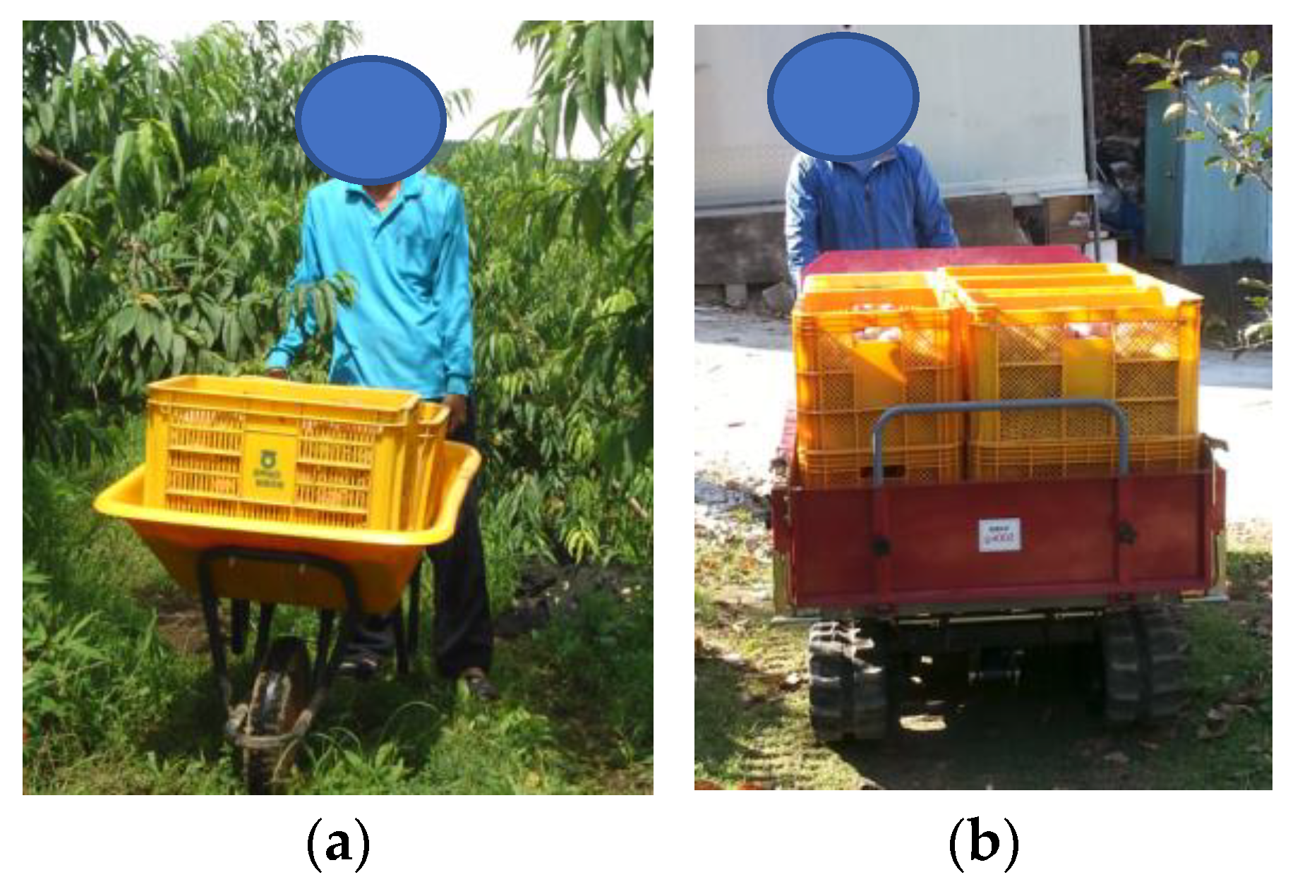 Applsci 12 02263 g001 550