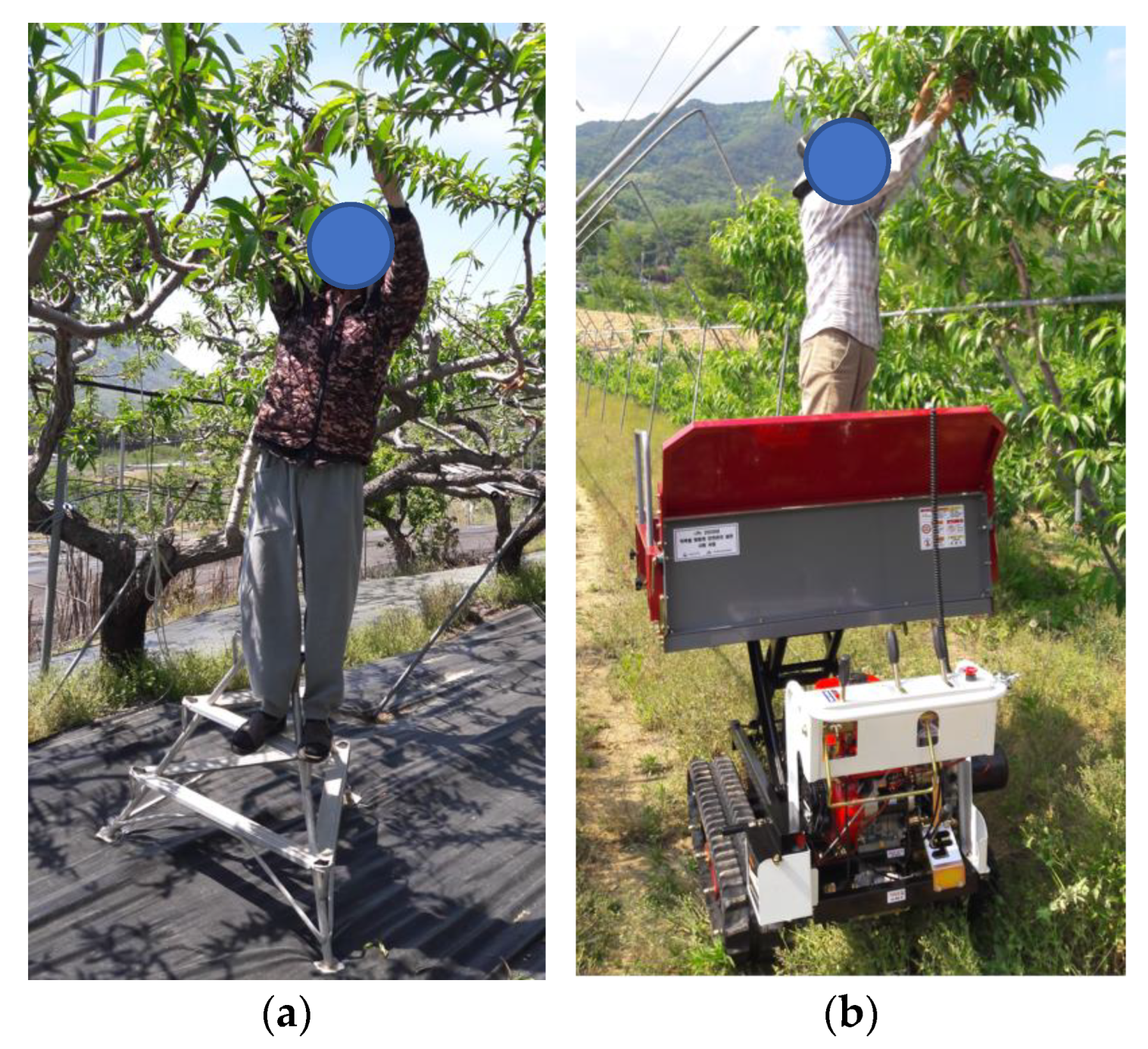 Applsci 12 02263 g002 550