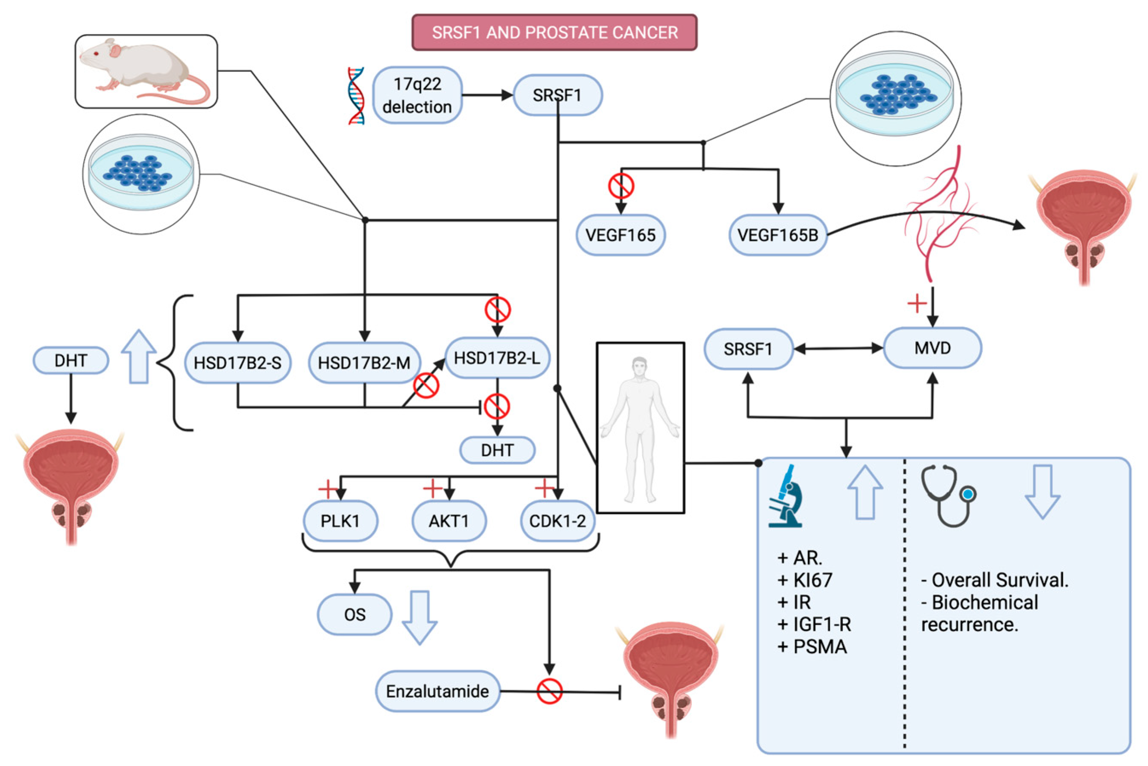 Applsci 12 02268 g002 Applsci 12 02268 g002
