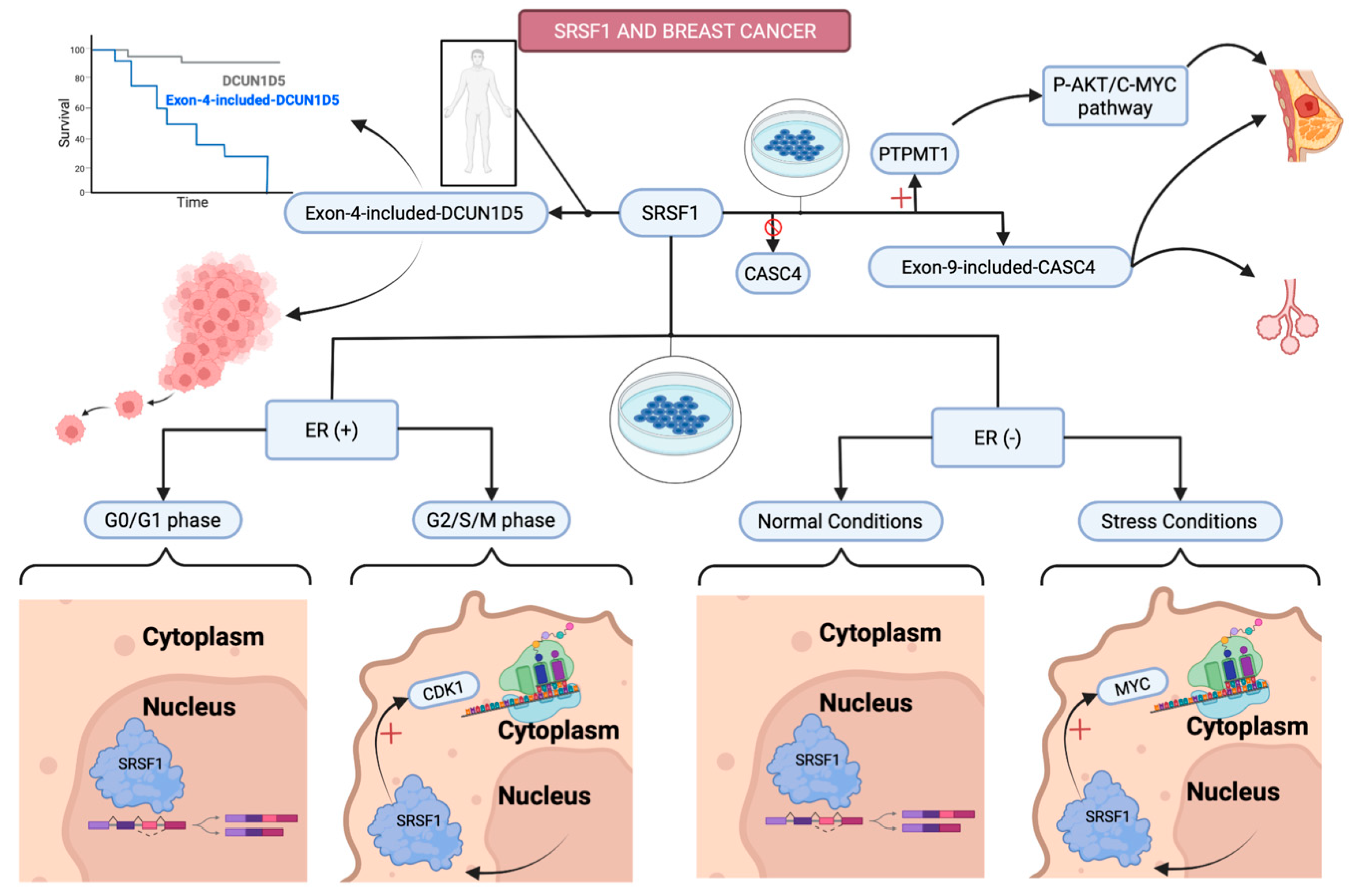Applsci 12 02268 g003 Applsci 12 02268 g003