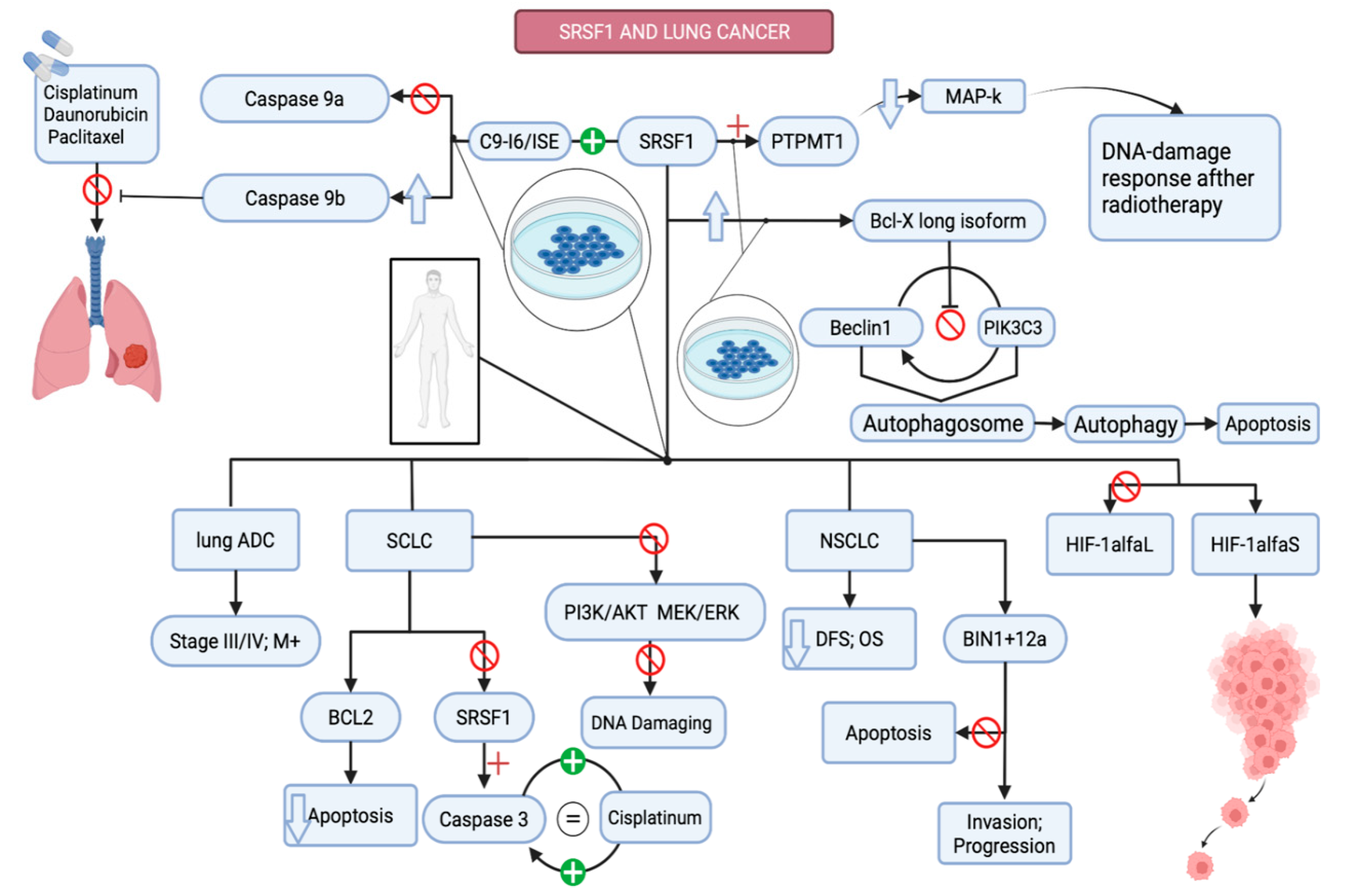 Applsci 12 02268 g004 Applsci 12 02268 g004