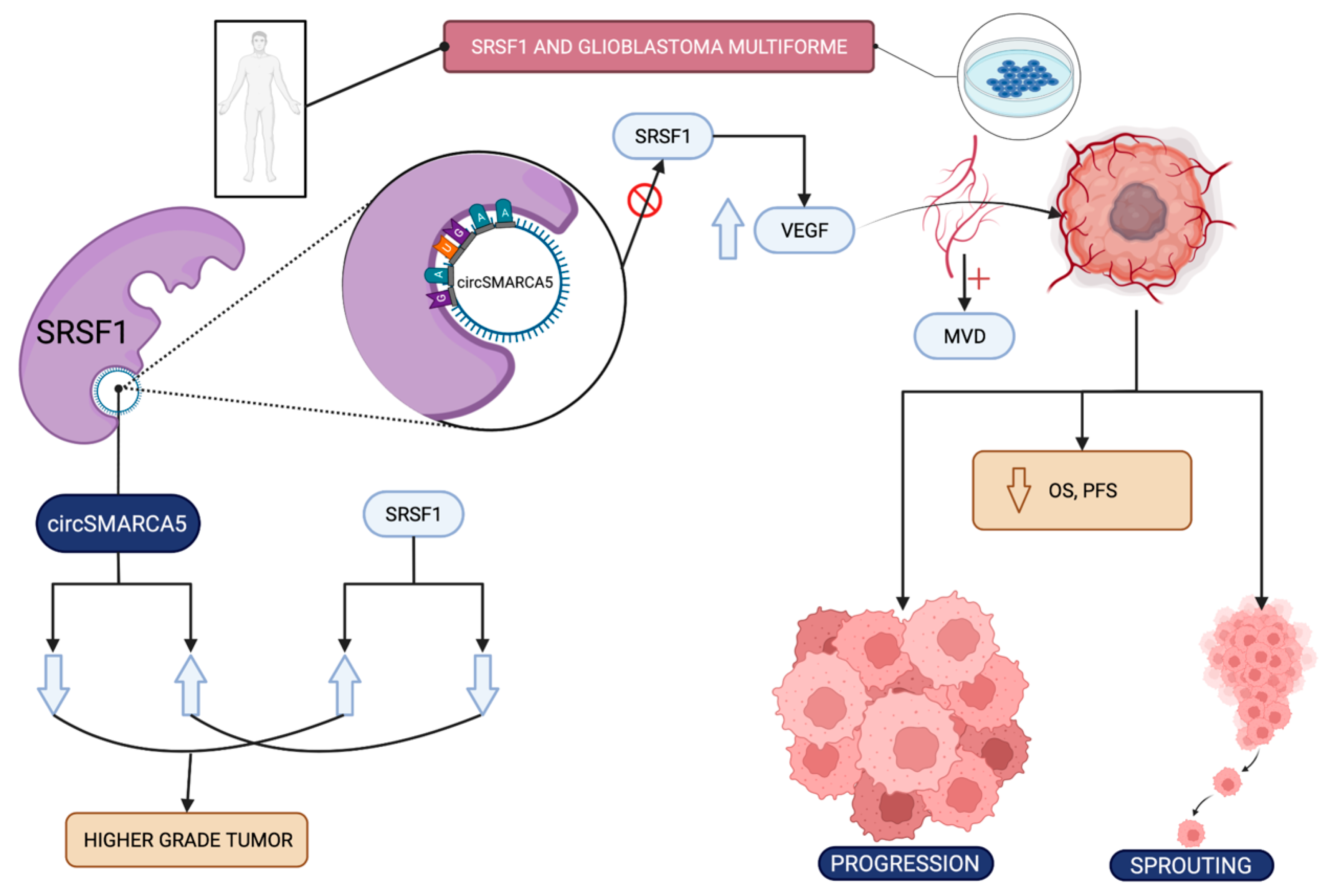 Applsci 12 02268 g006 Applsci 12 02268 g006