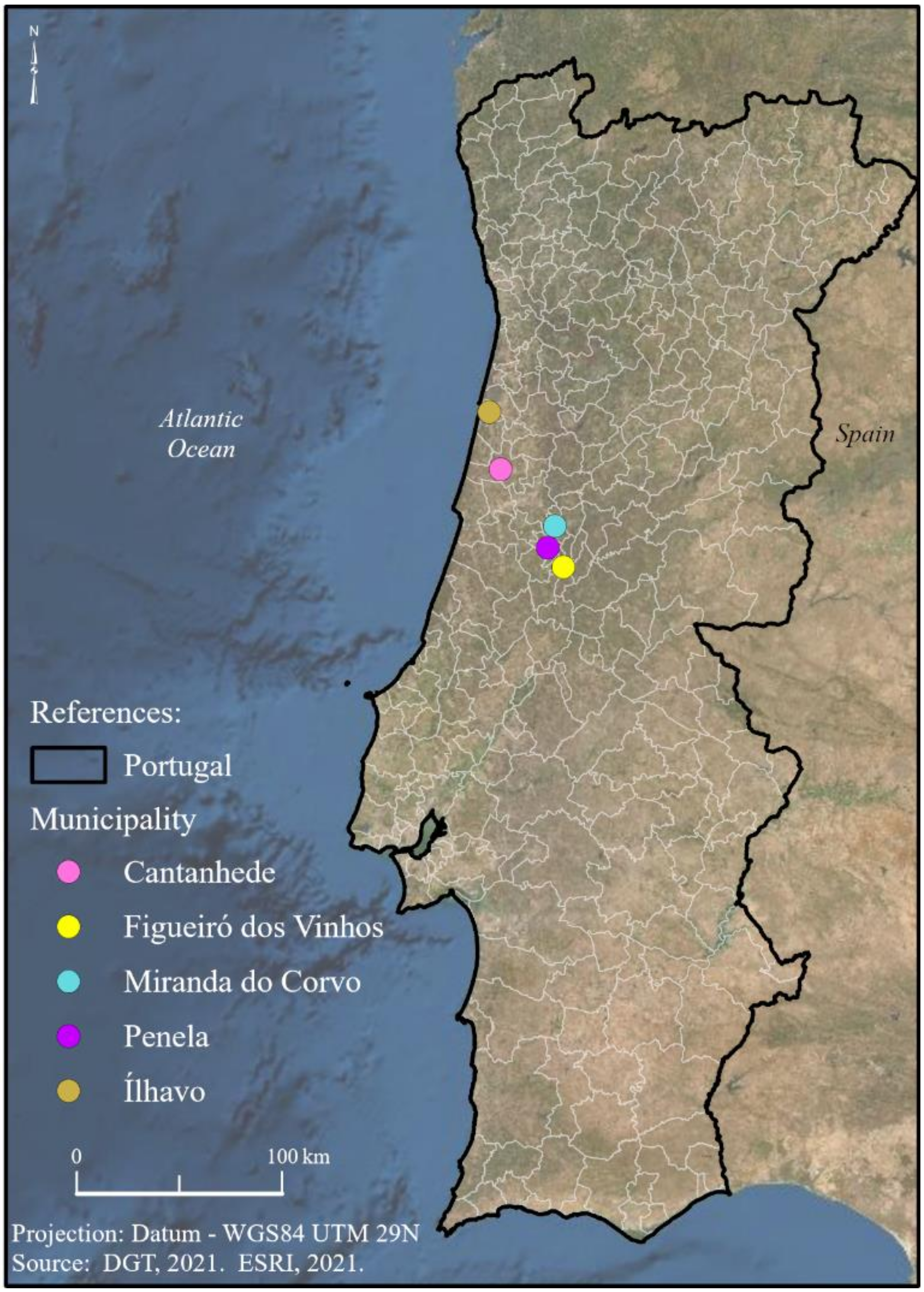 Applsci 12 02294 g001 550