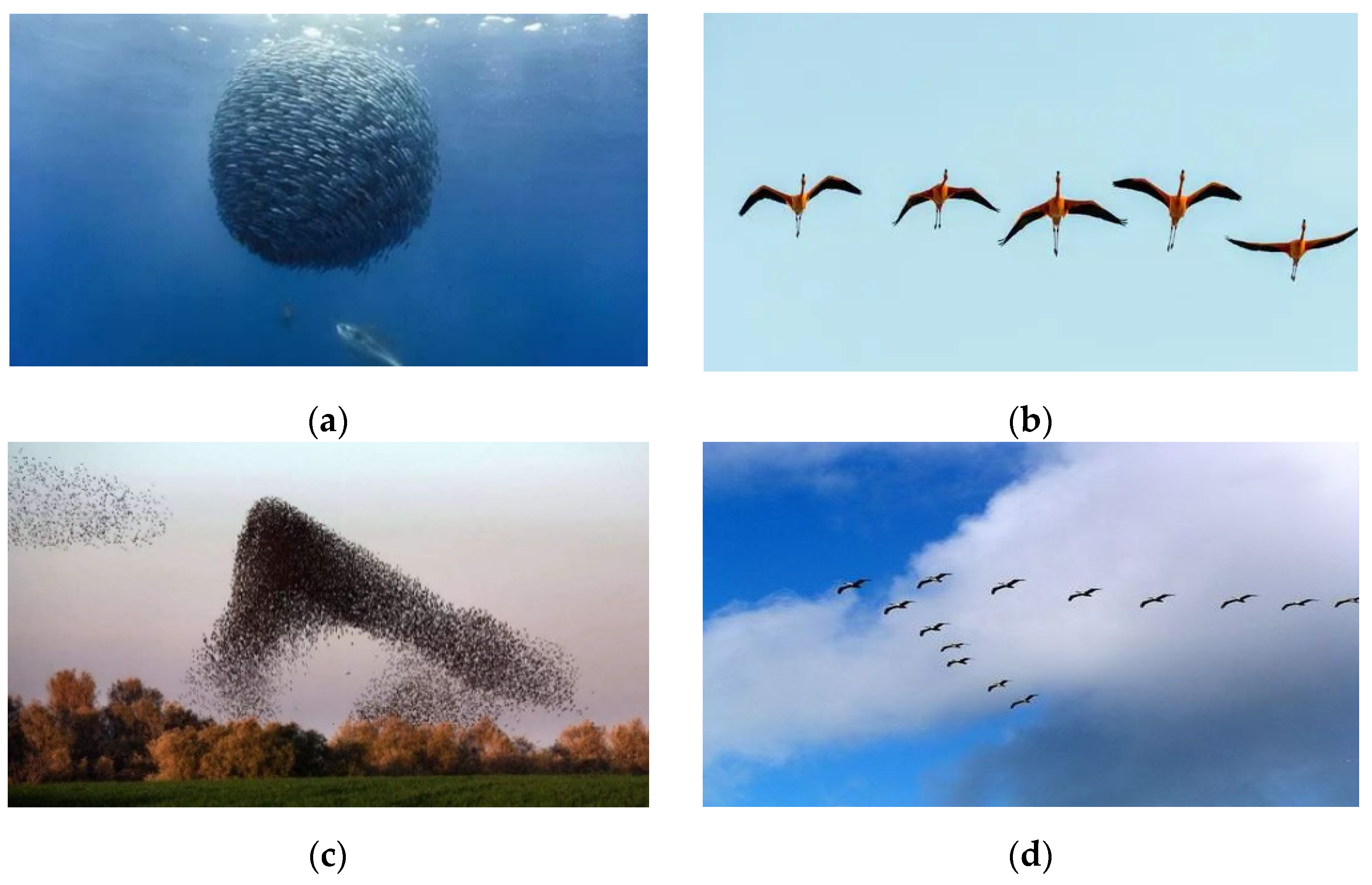 Applsci 12 02300 g001 550