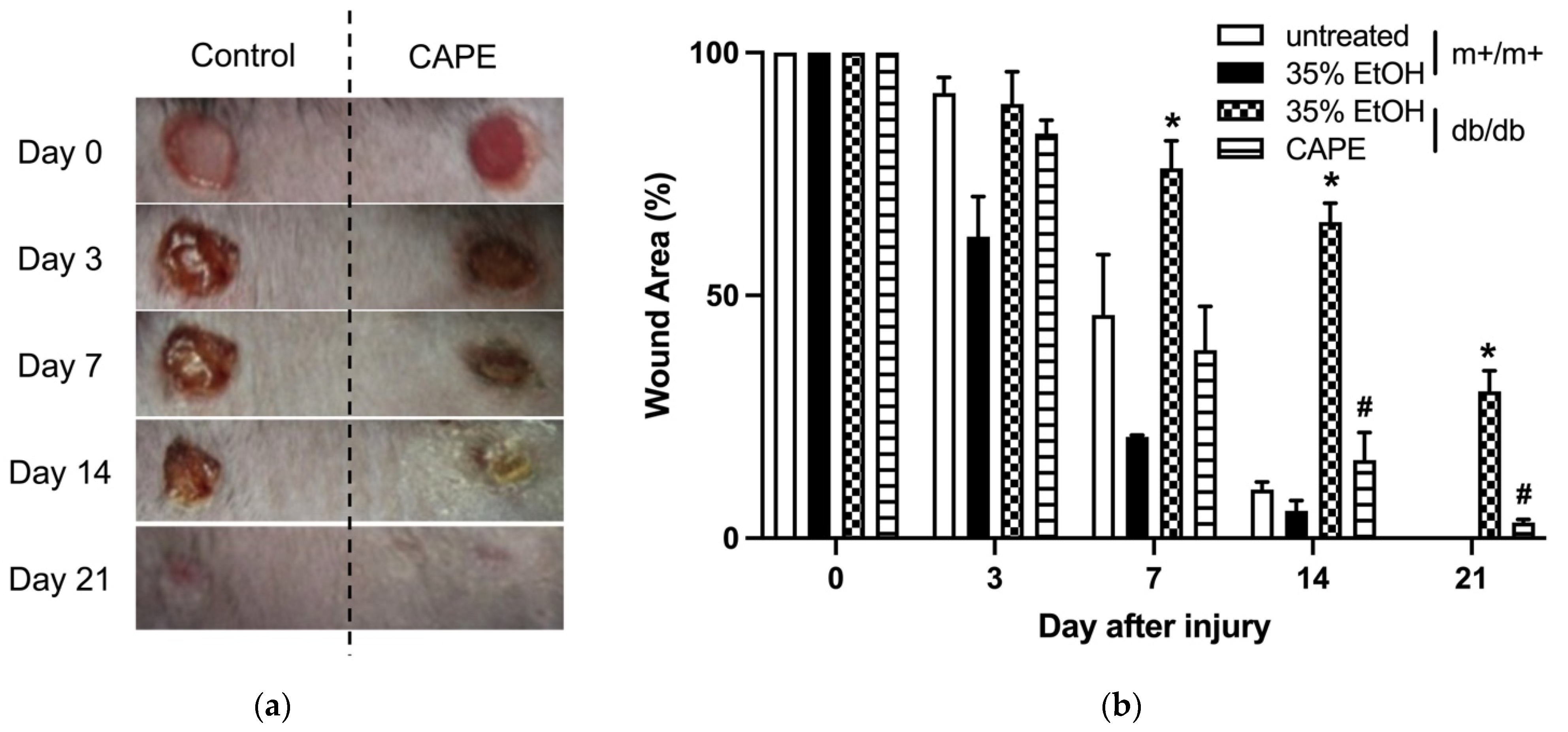 Applsci 12 02320 g004 Applsci 12 02320 g004
