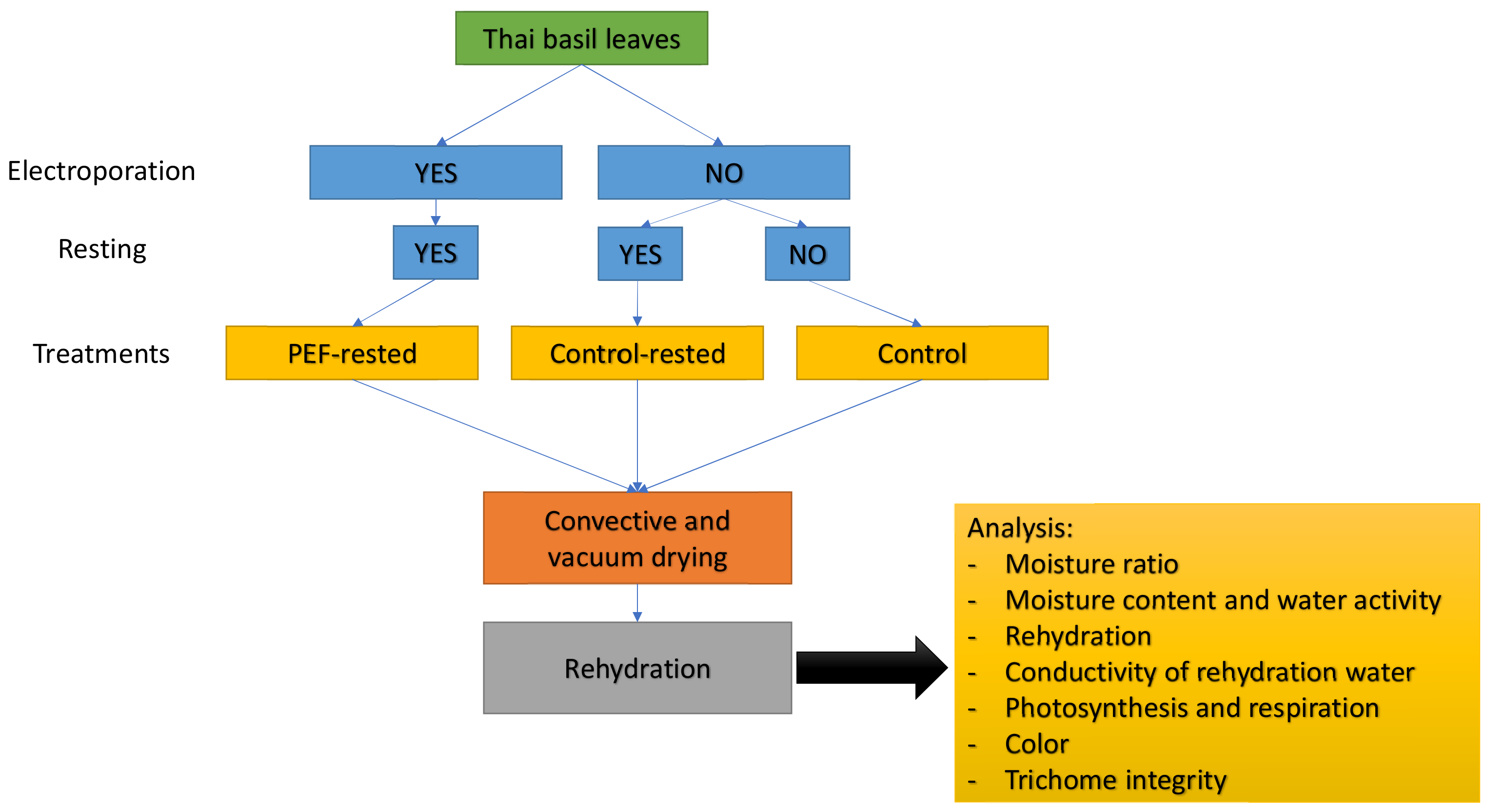 Applsci 12 02343 g001