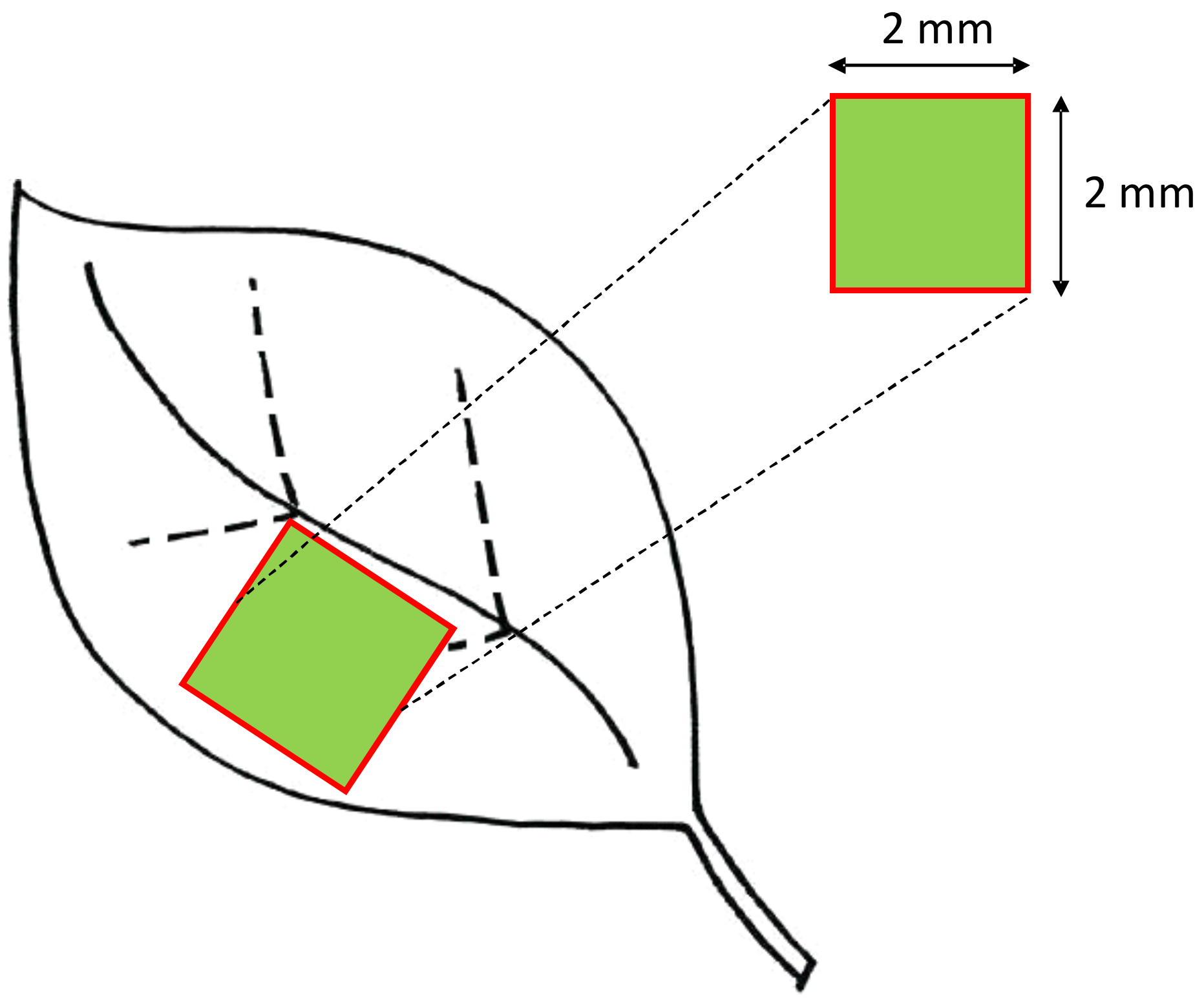 Applsci 12 02343 g002