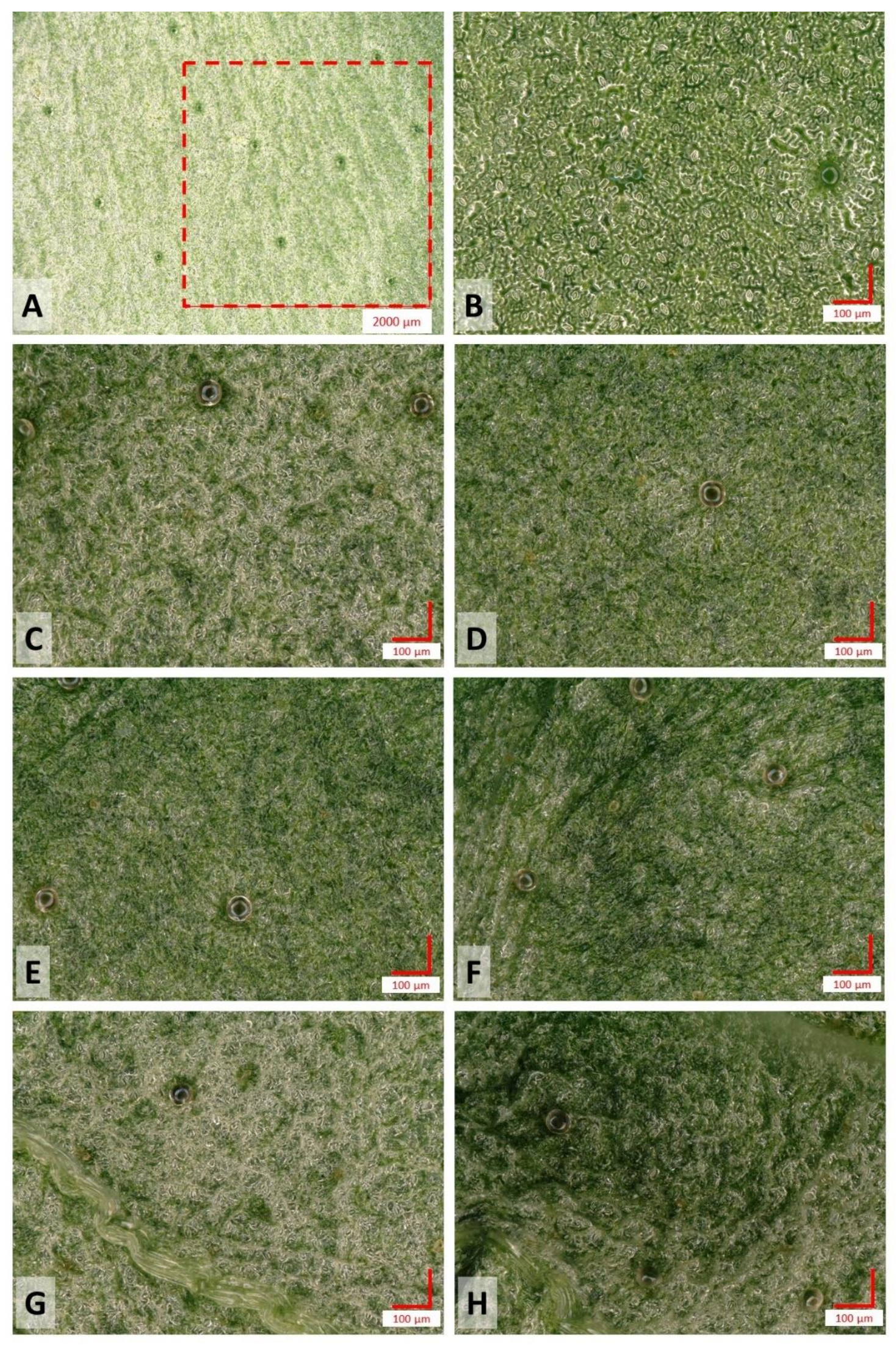 Applsci 12 02343 g007