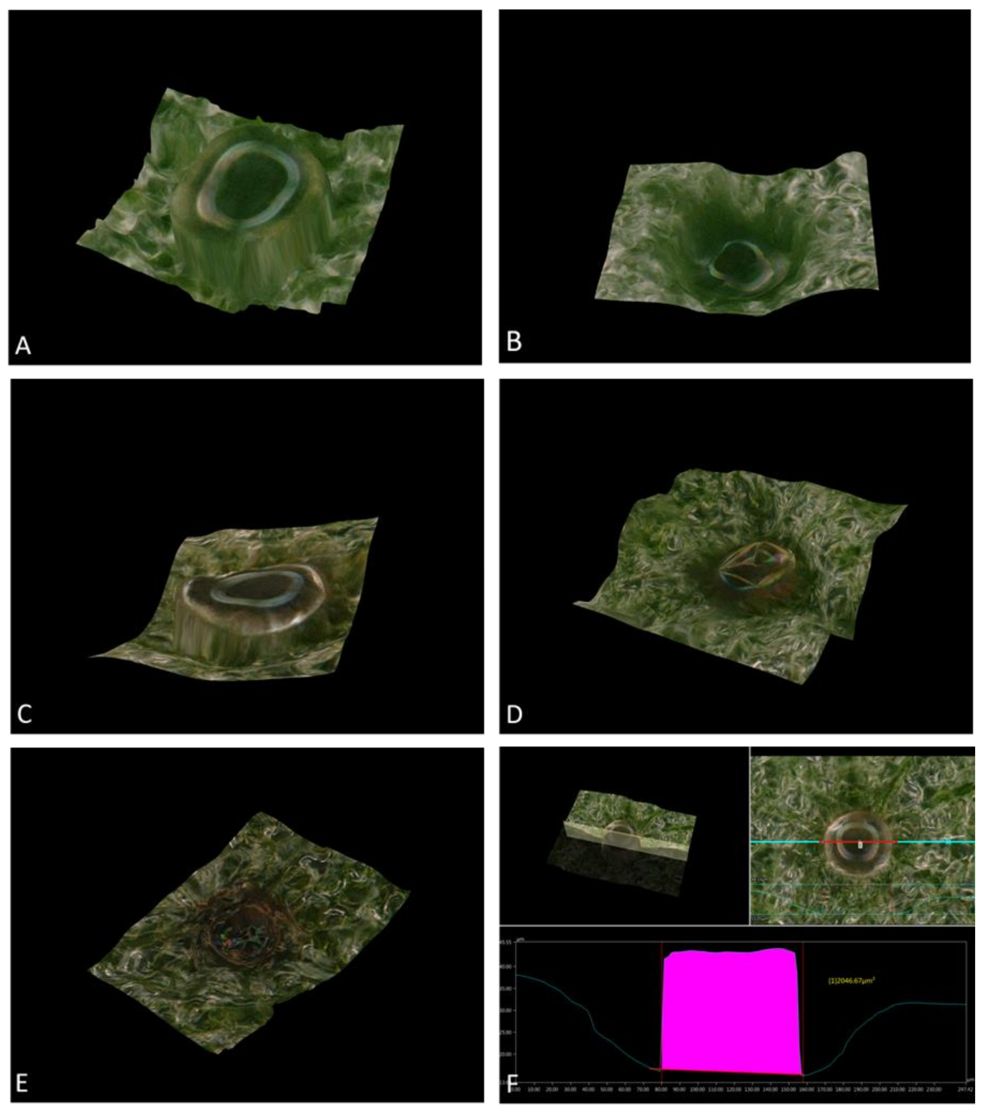 Applsci 12 02343 g008