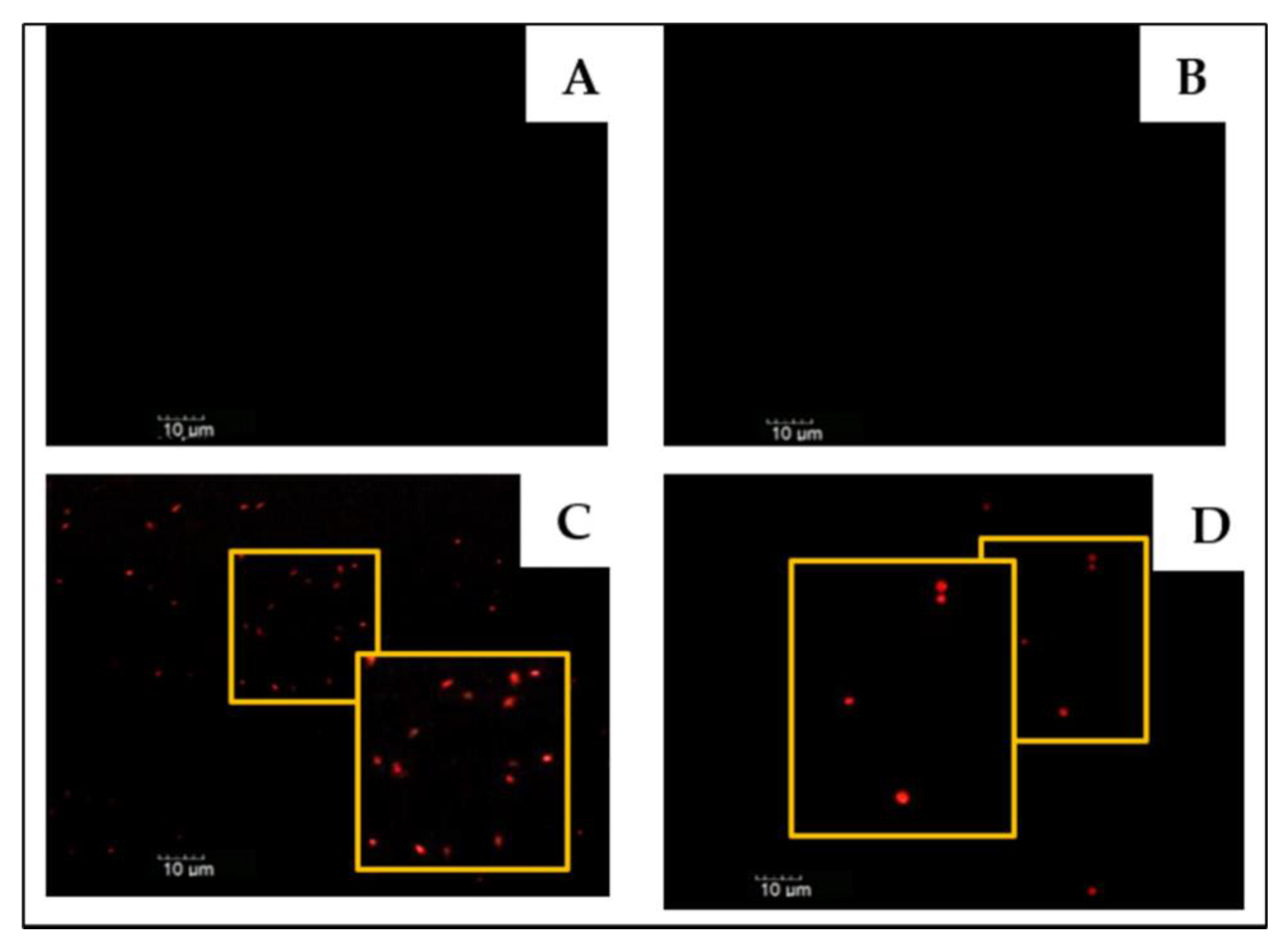 Applsci 12 02348 g003