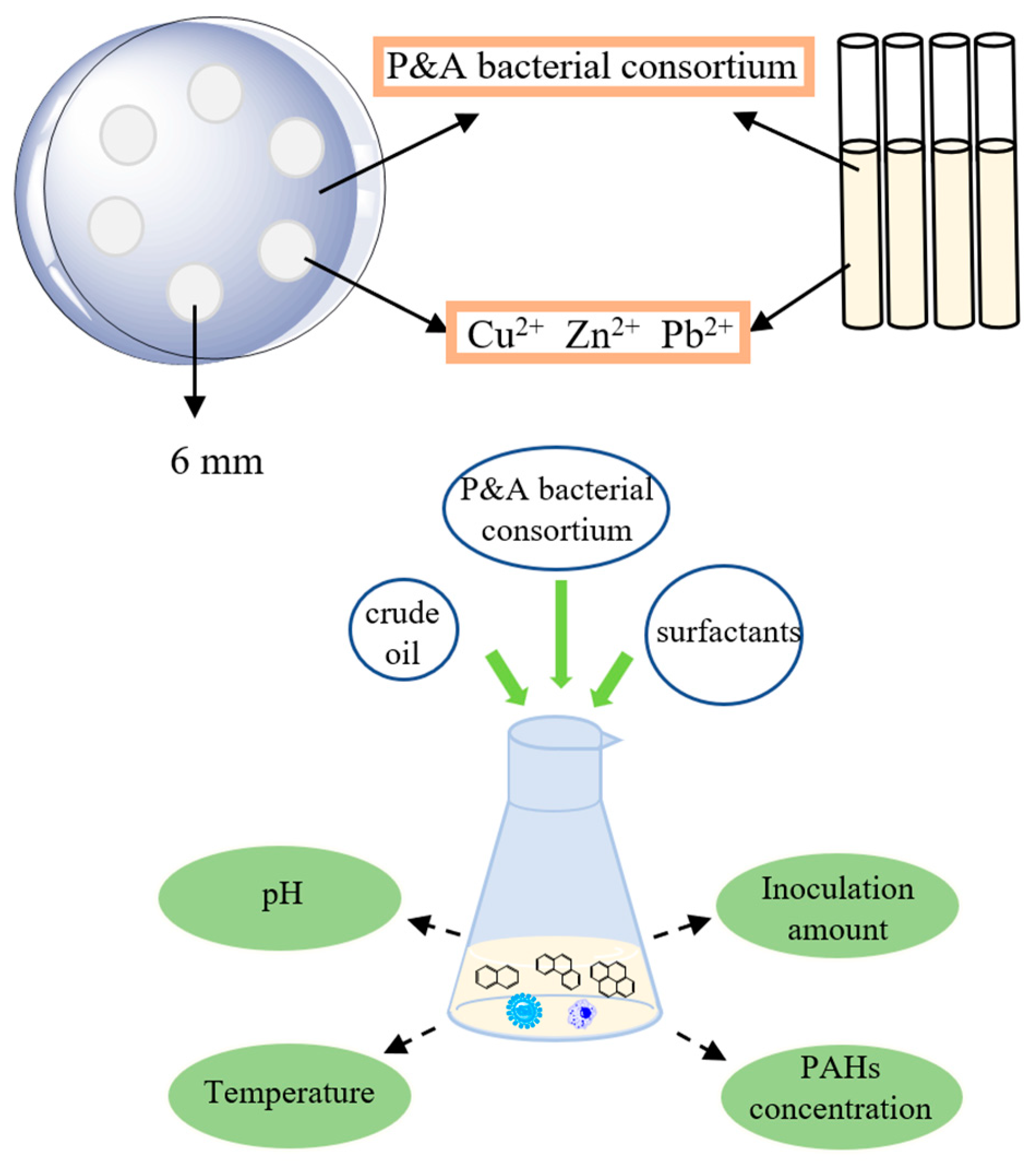Applsci 12 02354 g001 550