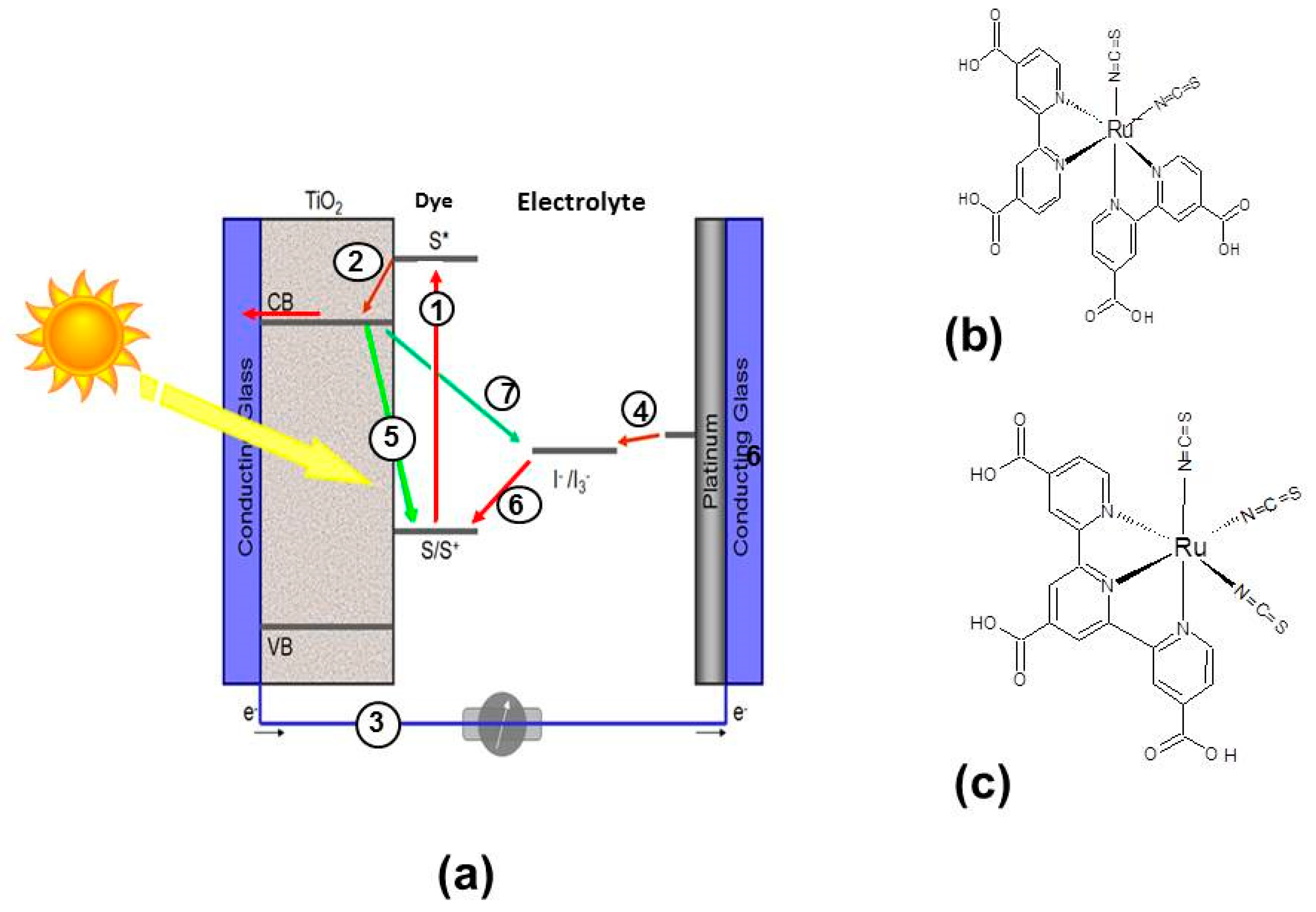 Applsci 12 02358 g001