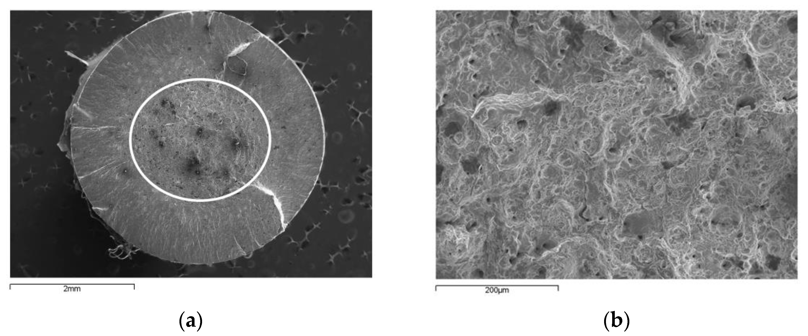 Applsci 12 02369 g006