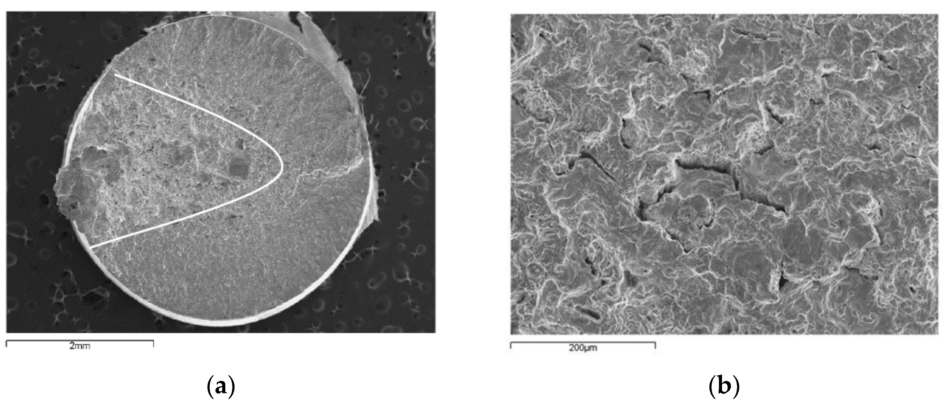 Applsci 12 02369 g008