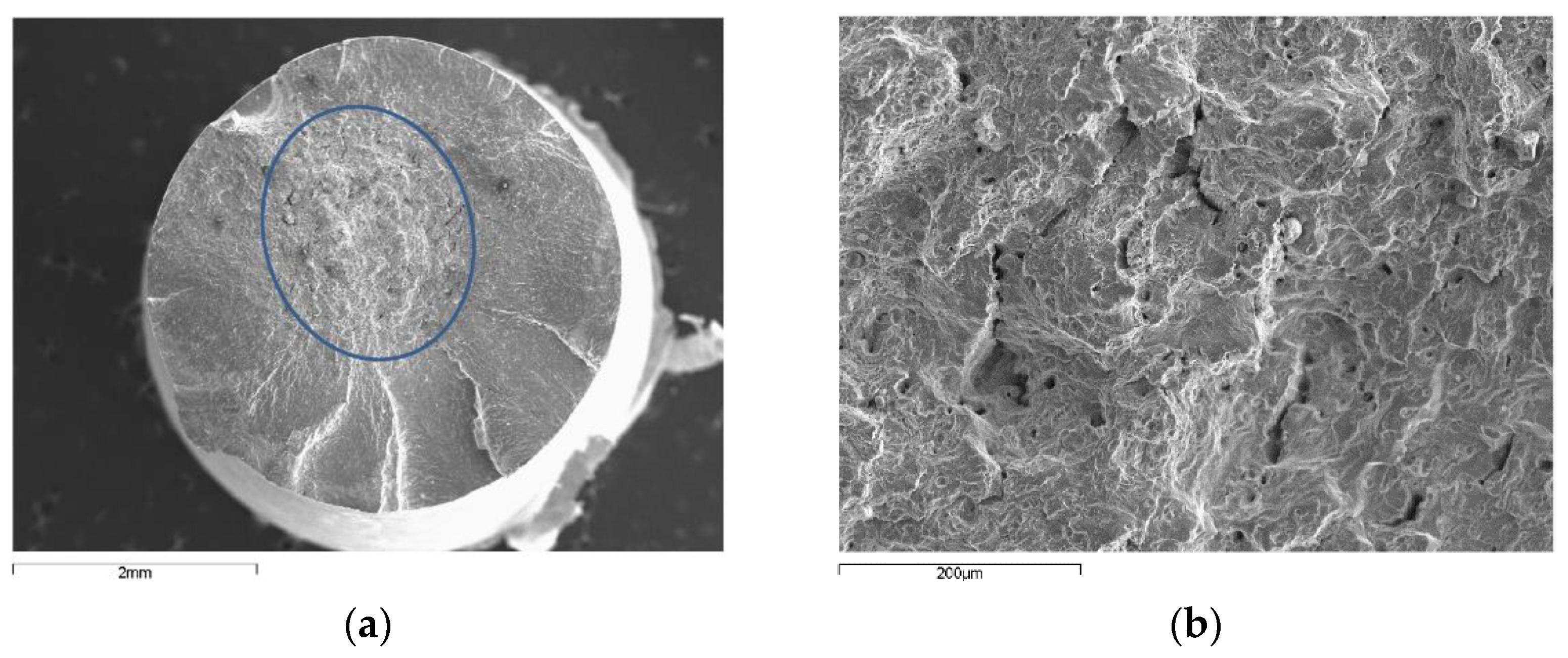 Applsci 12 02369 g009