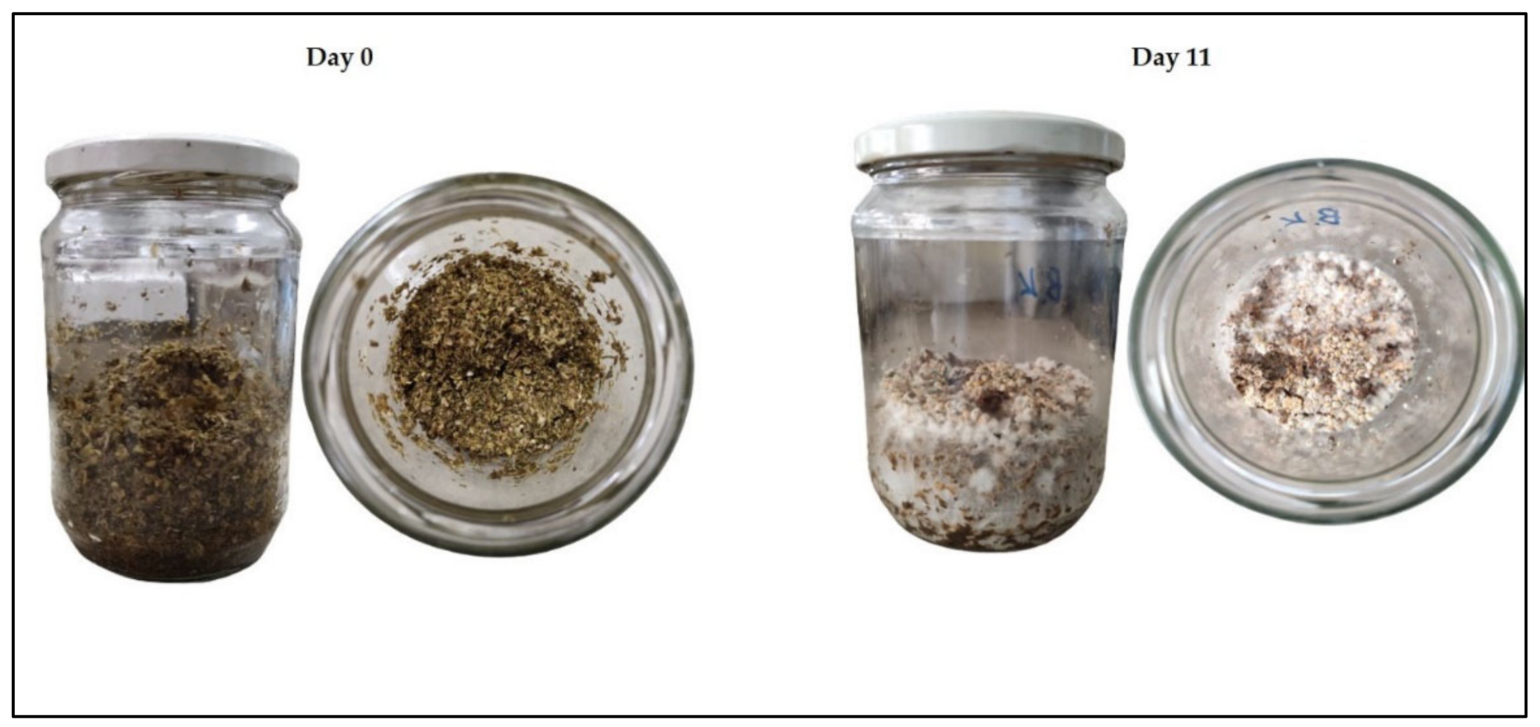 Applsci 12 02376 g001