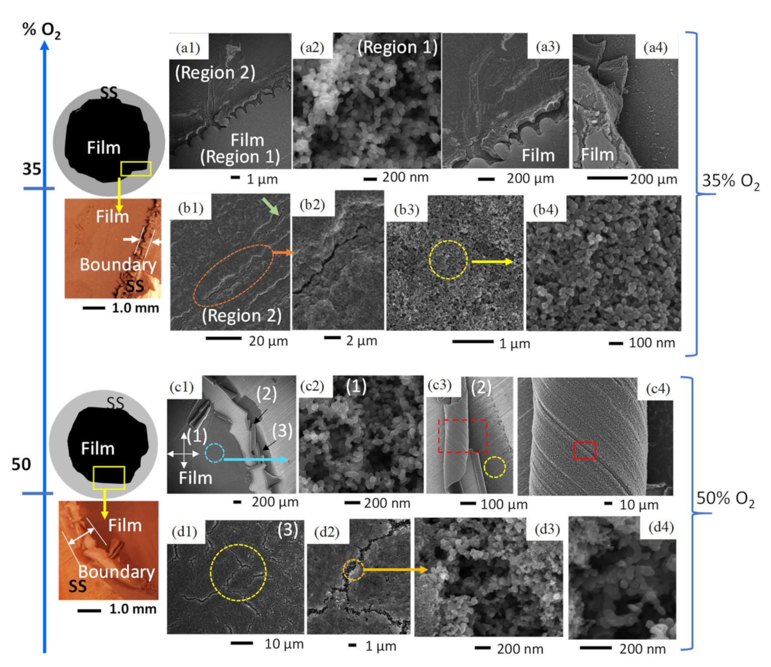 Applsci 12 02427 g005