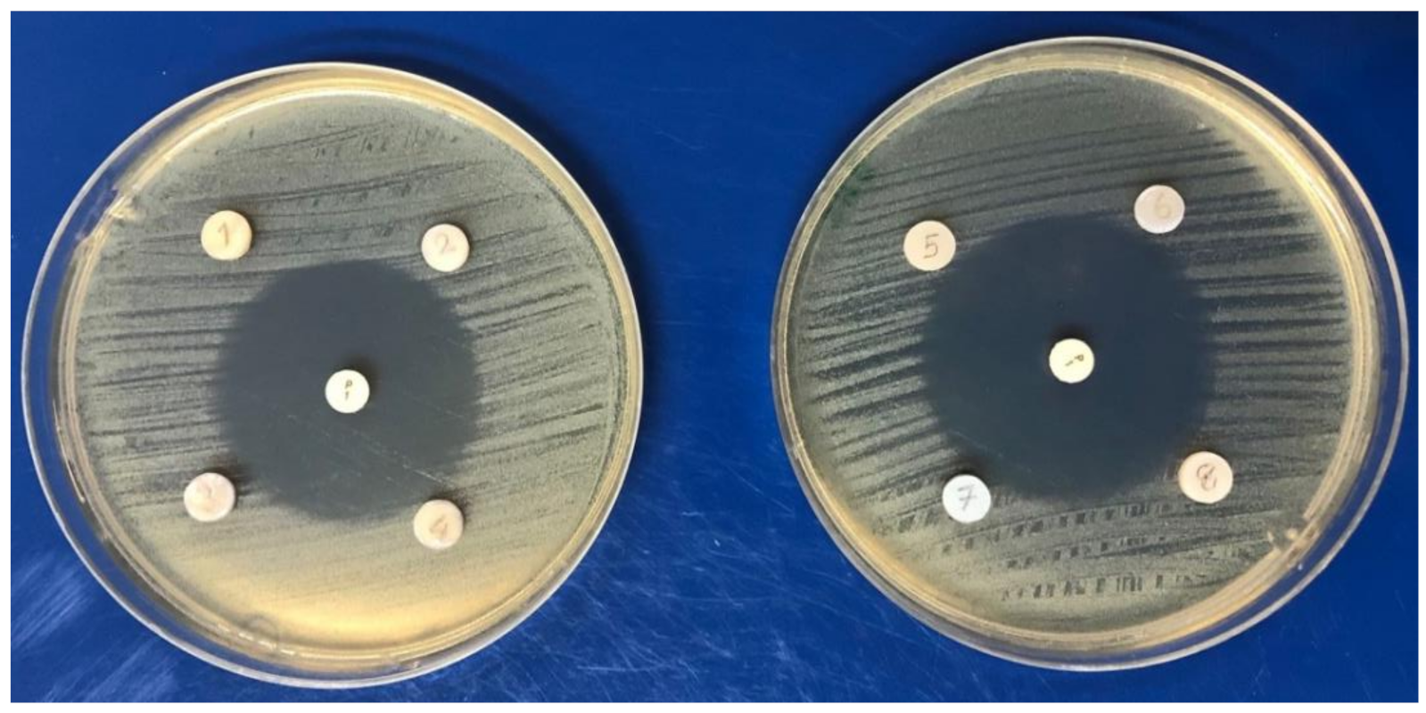 Applsci 12 02434 g002