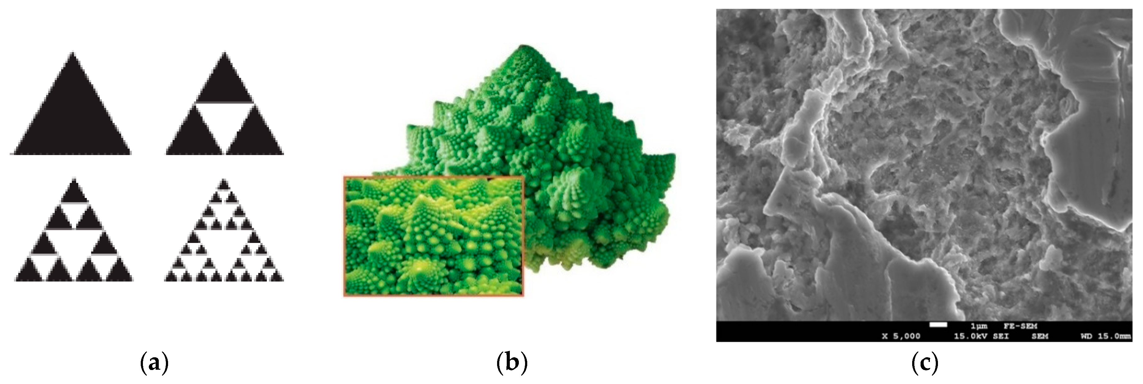 Applsci 12 02458 g003 550