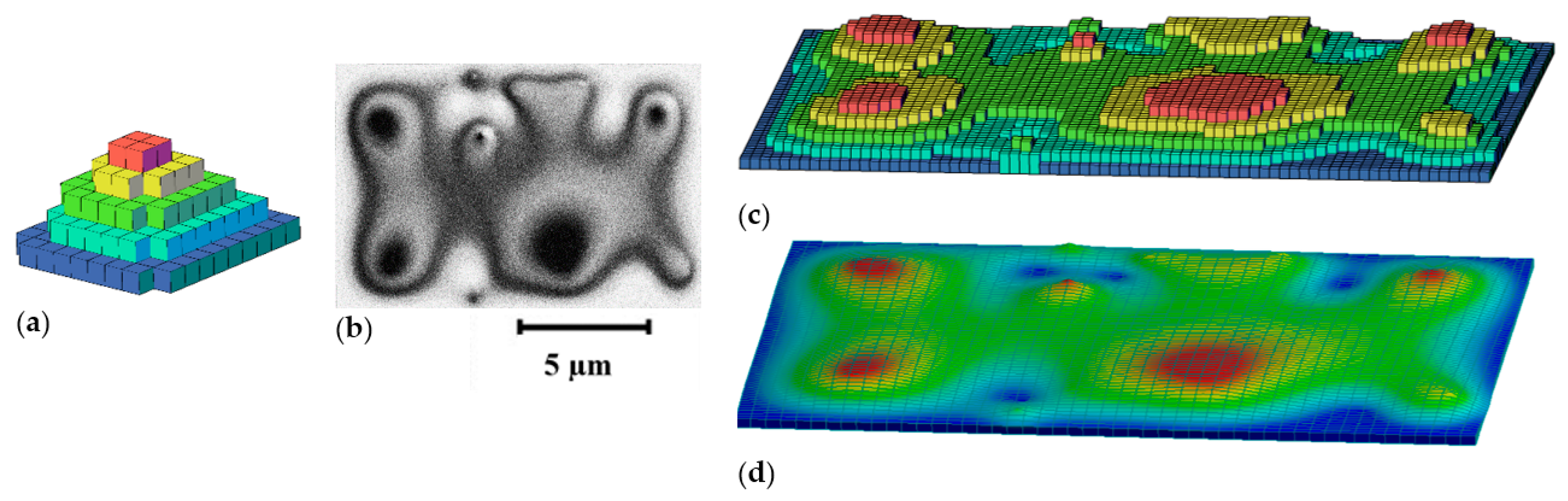 Applsci 12 02458 g005 550