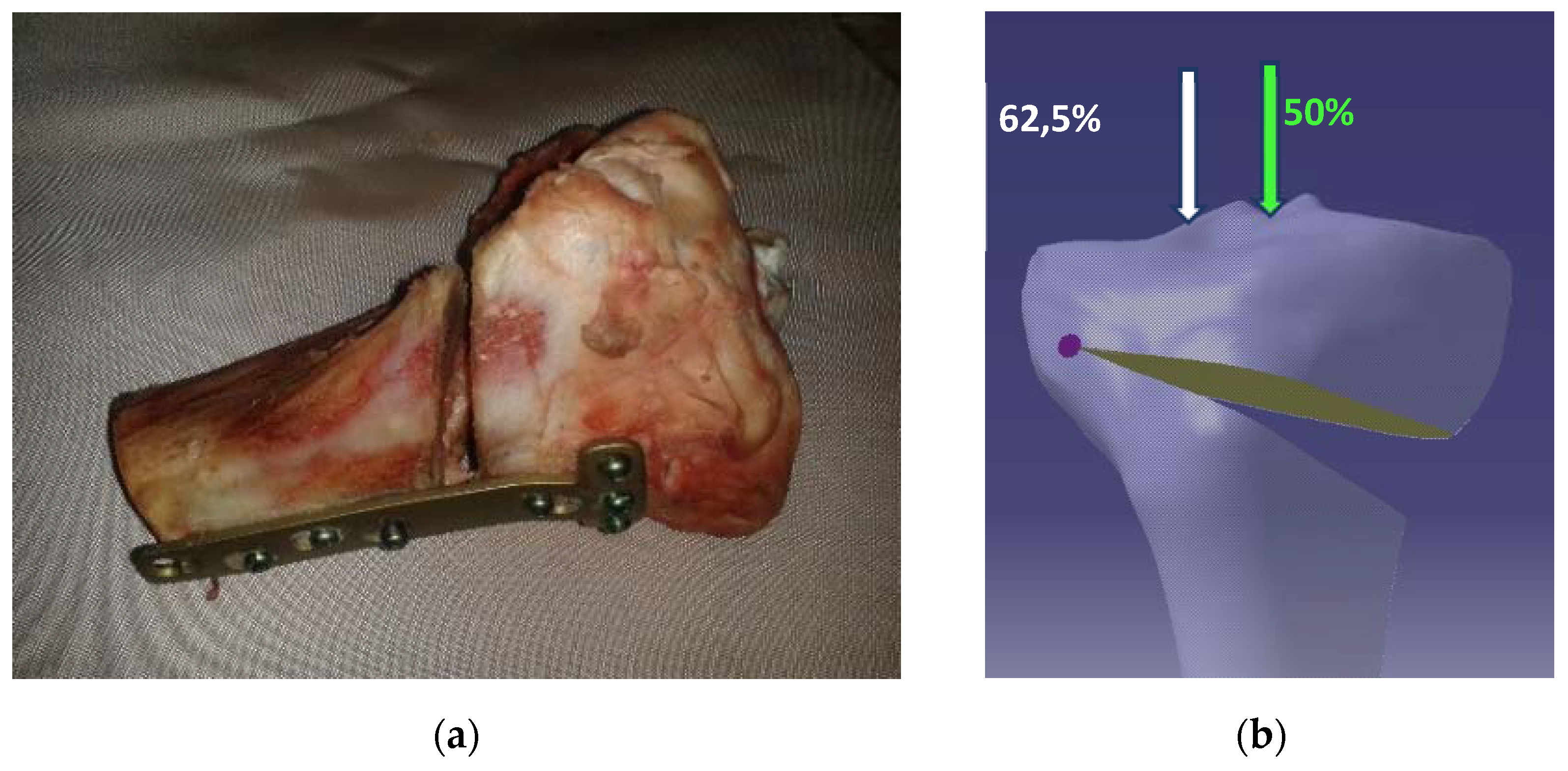 Applsci 12 02475 g003