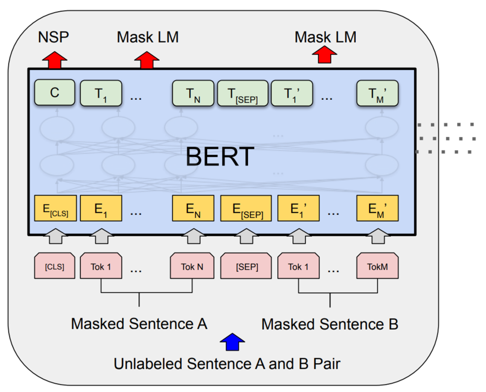 Pre trained transformer. Модель Bert. Bert архитектура. Bert (модель мови). Bert NLP.