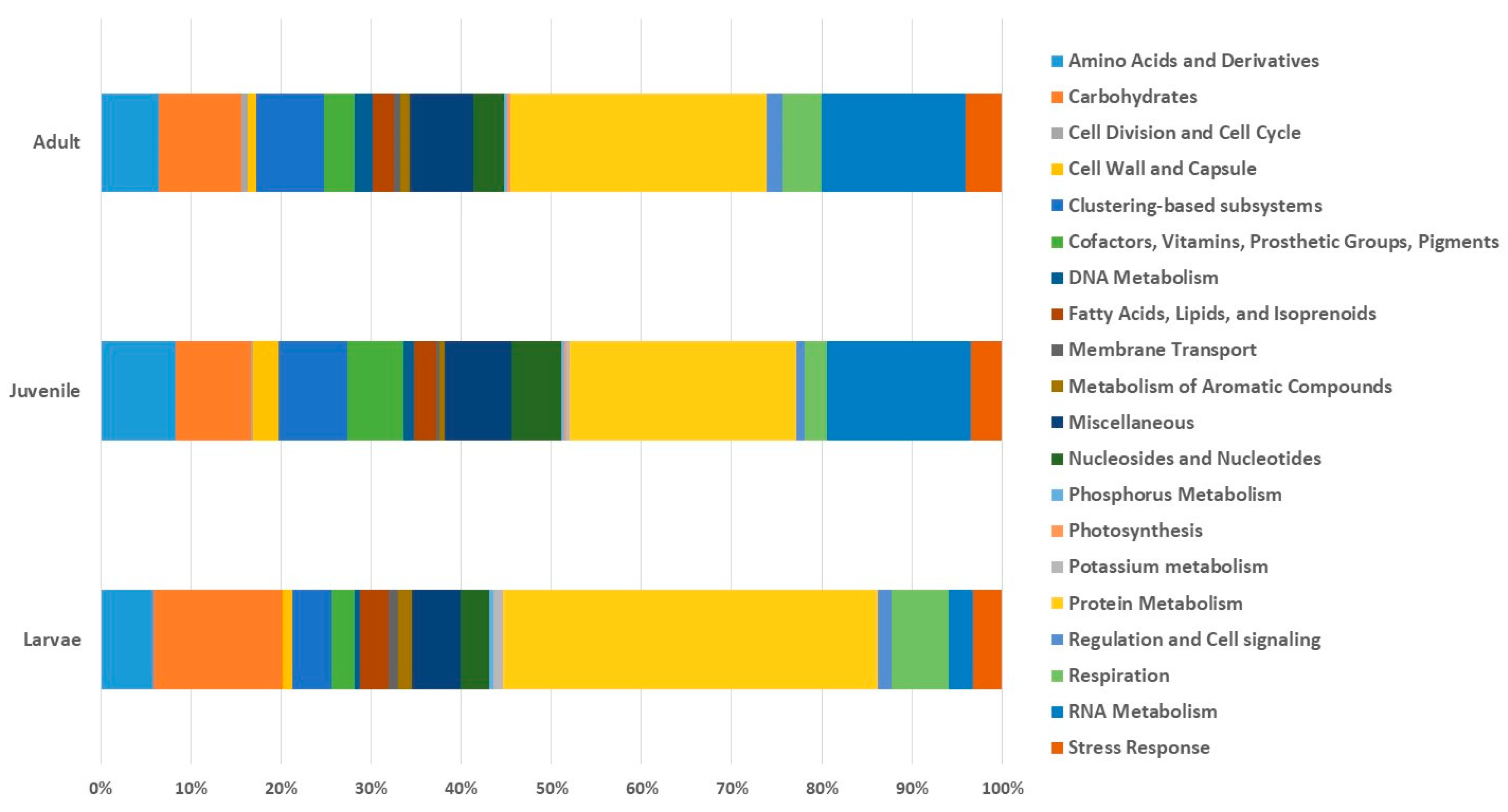 Applsci 12 02483 g007