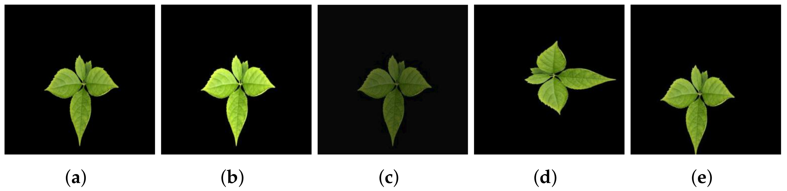 Applsci 12 02489 g003 550