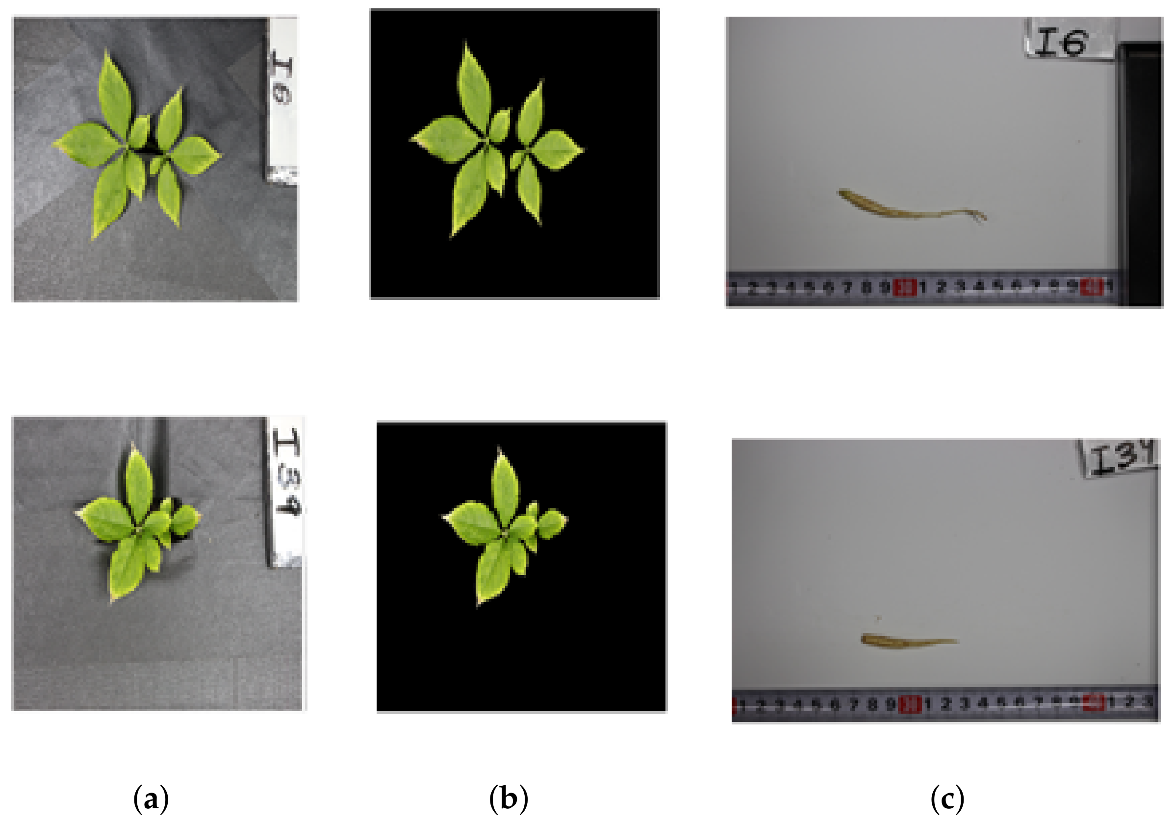 Applsci 12 02489 g010 550