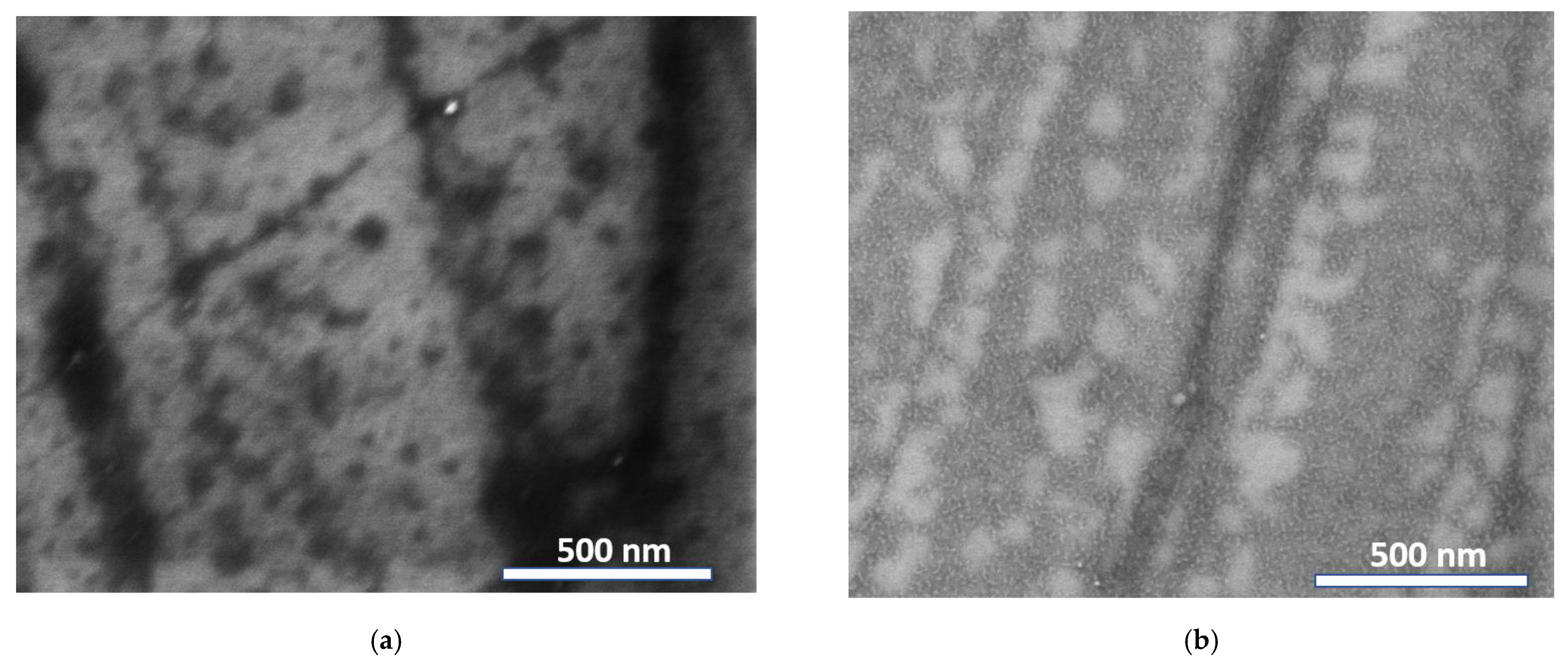 Applsci 12 02491 g002