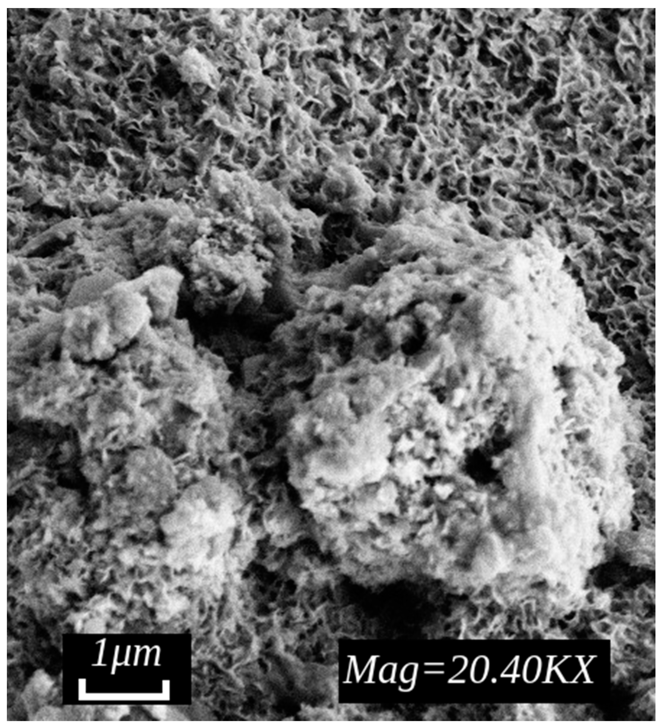 Applsci 12 02518 g005 550