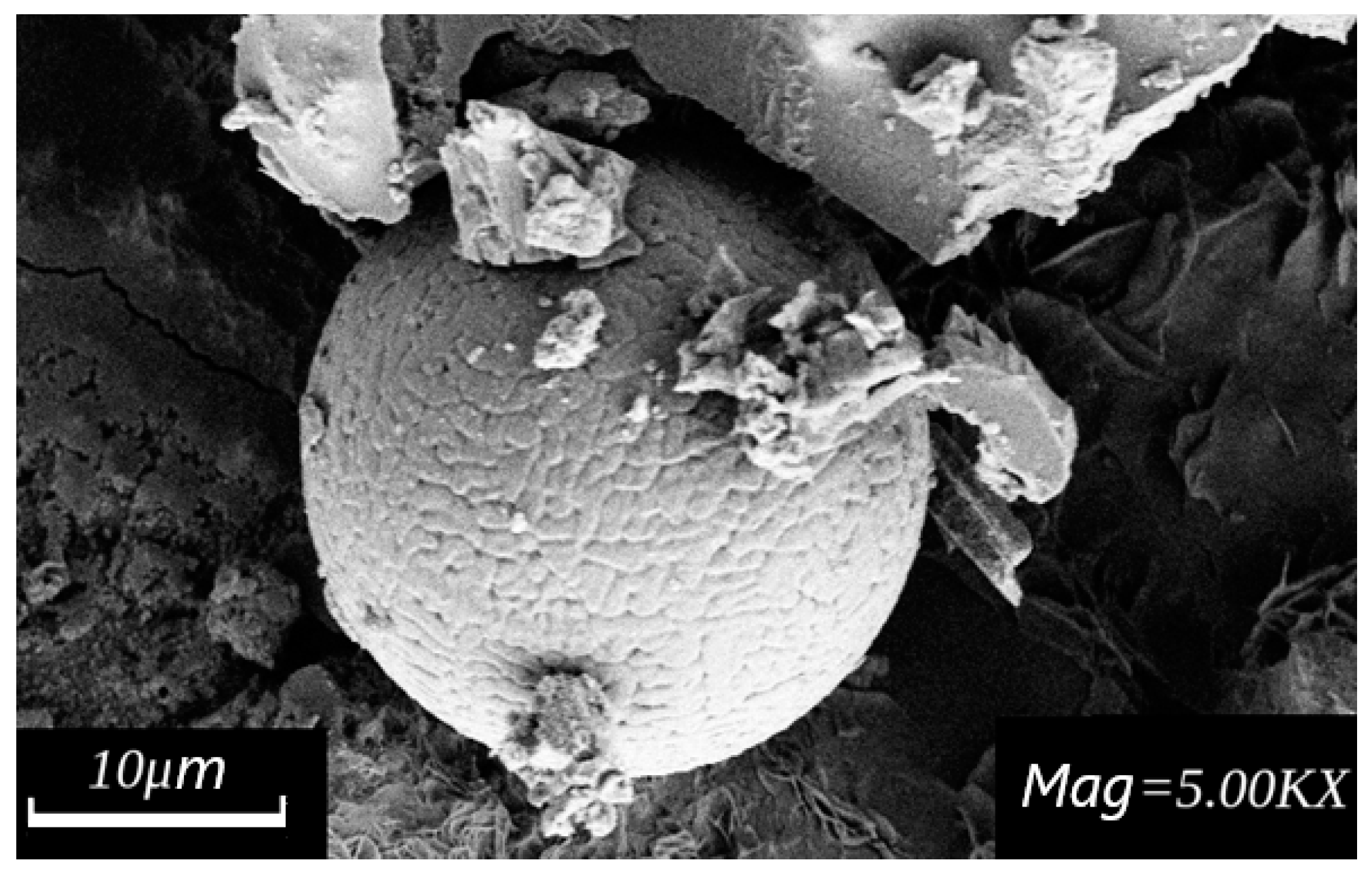 Applsci 12 02518 g007 550