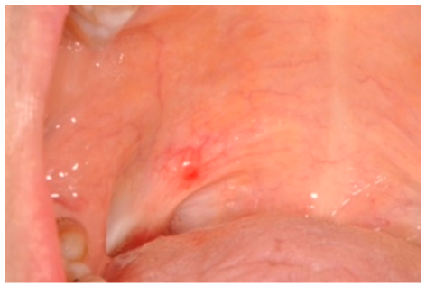 Applsci 12 02525 g001