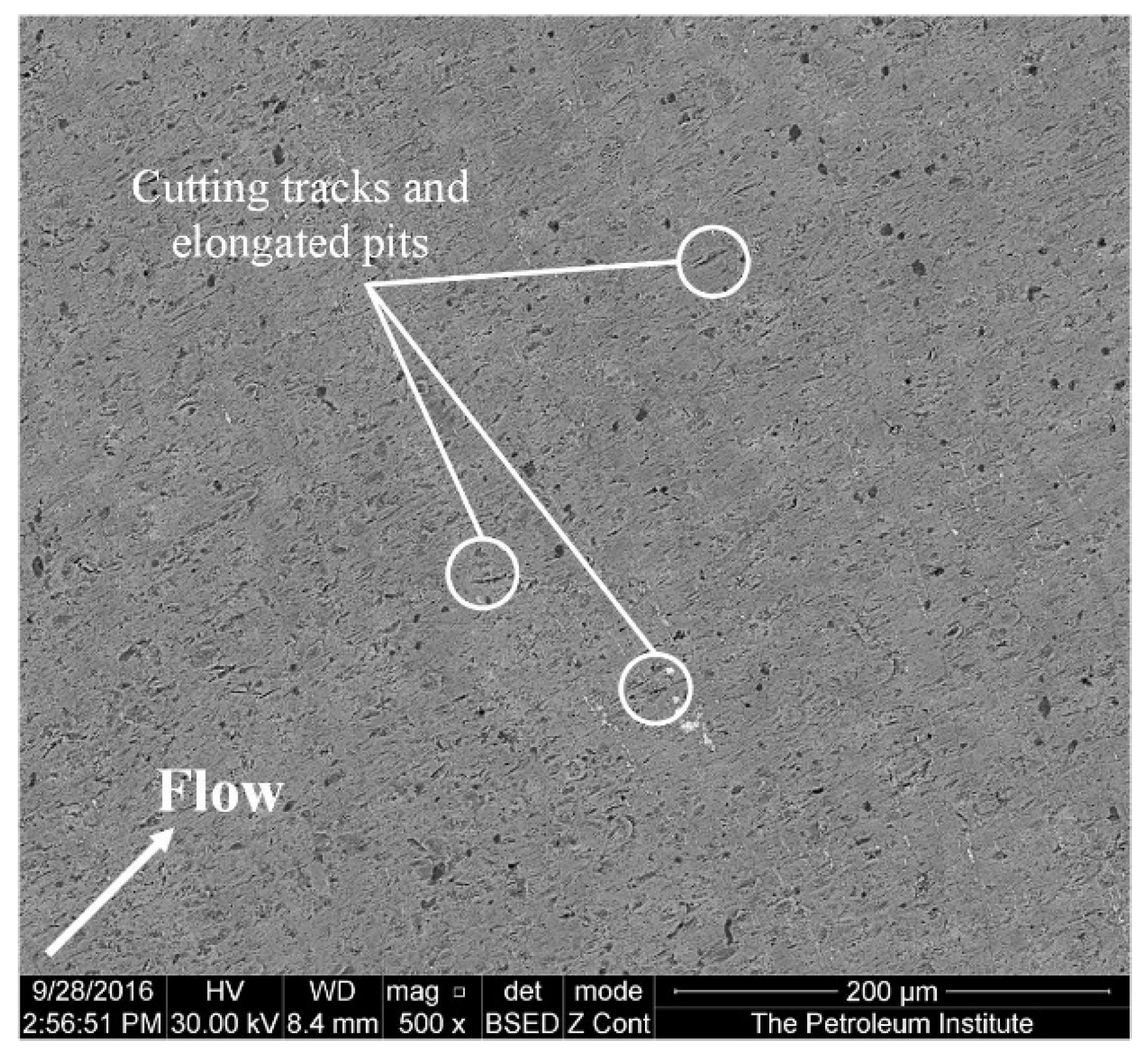 Applsci 12 02530 g007 550