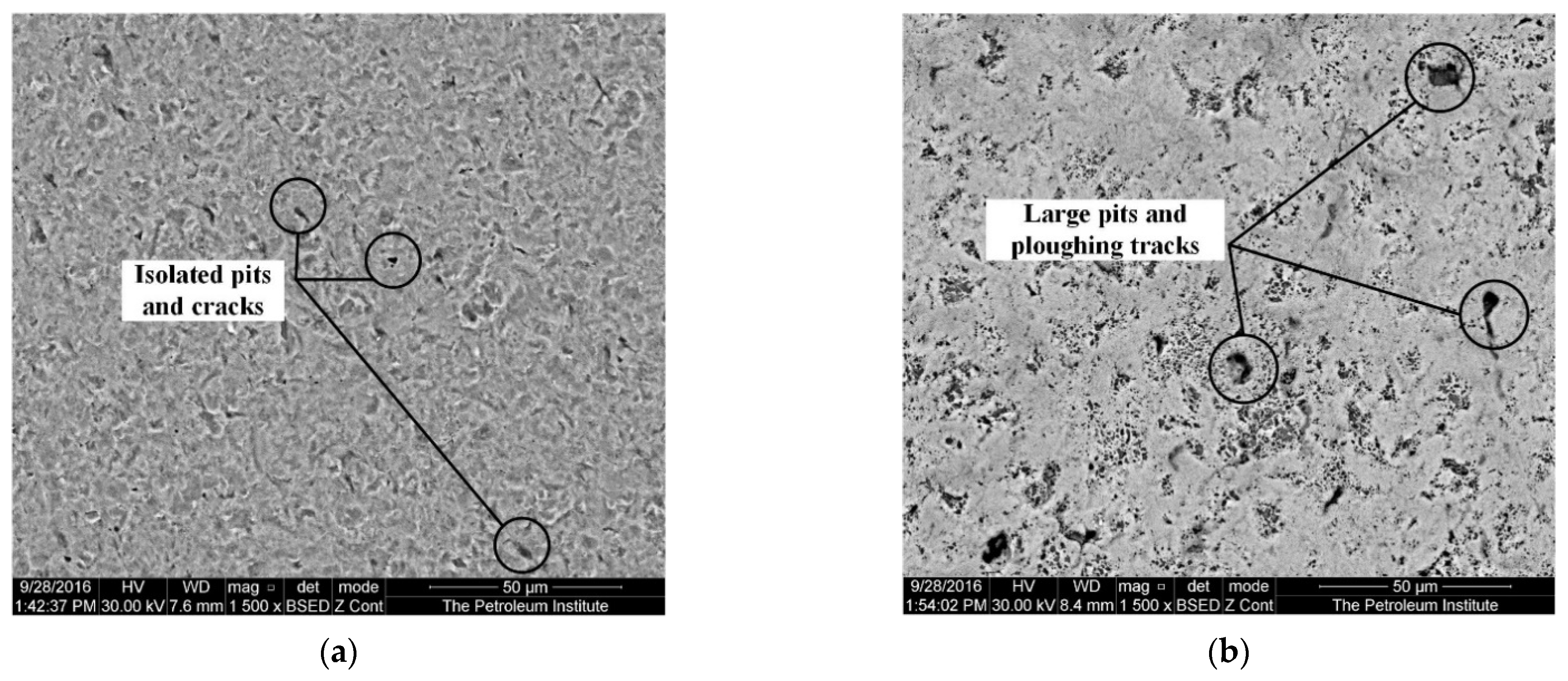 Applsci 12 02530 g011 550