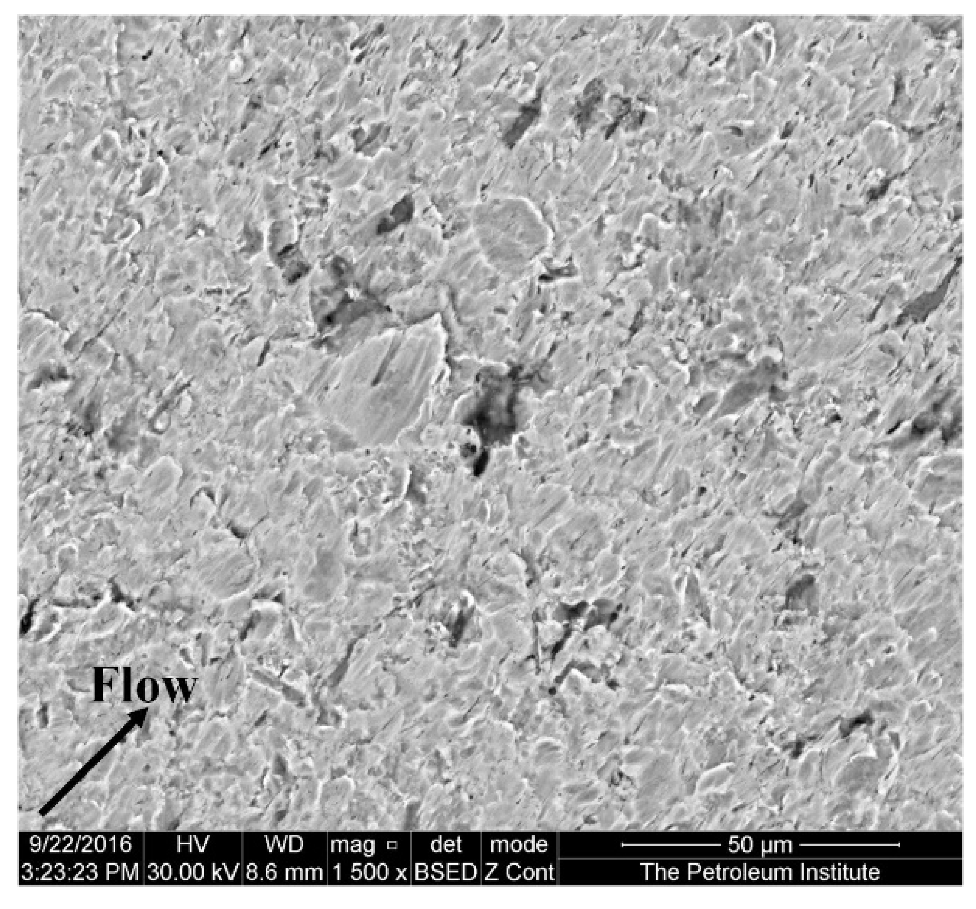 Applsci 12 02530 g012 550