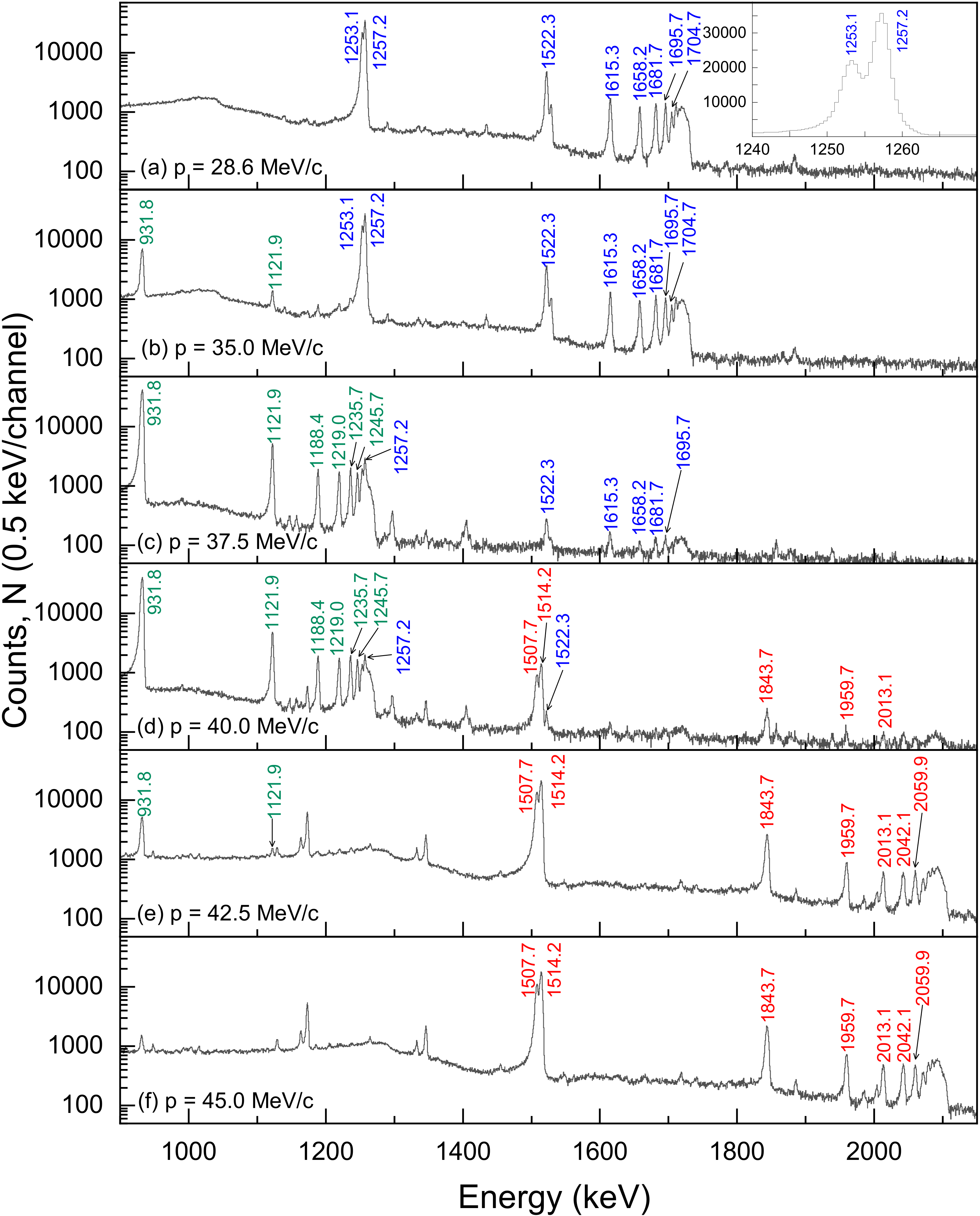 その他 MUON SPECTROSCOPY: AN INTRODUCTION Amazon.com: Muon Spectroscopy: An Introduction