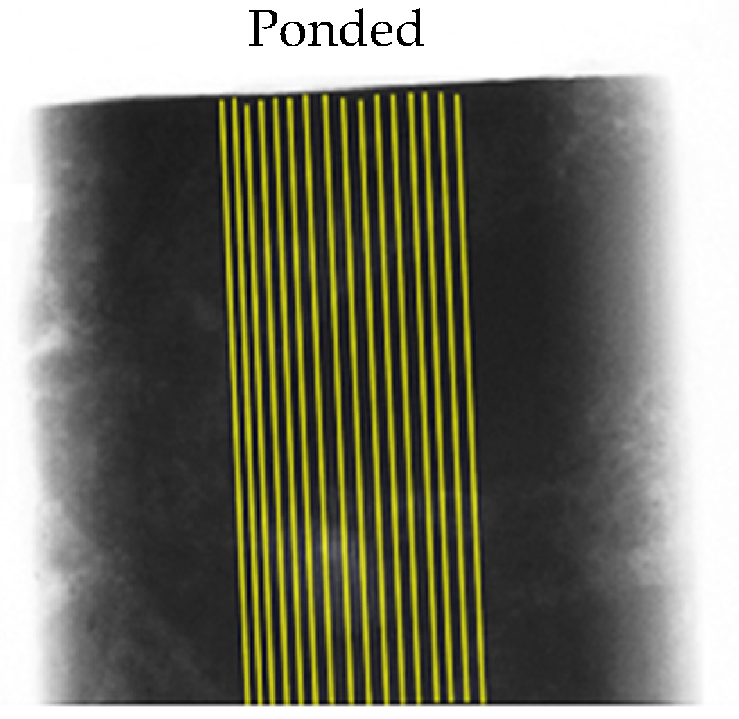 Applsci 12 02557 g004