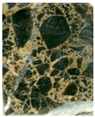 Applsci 12 02566 i015