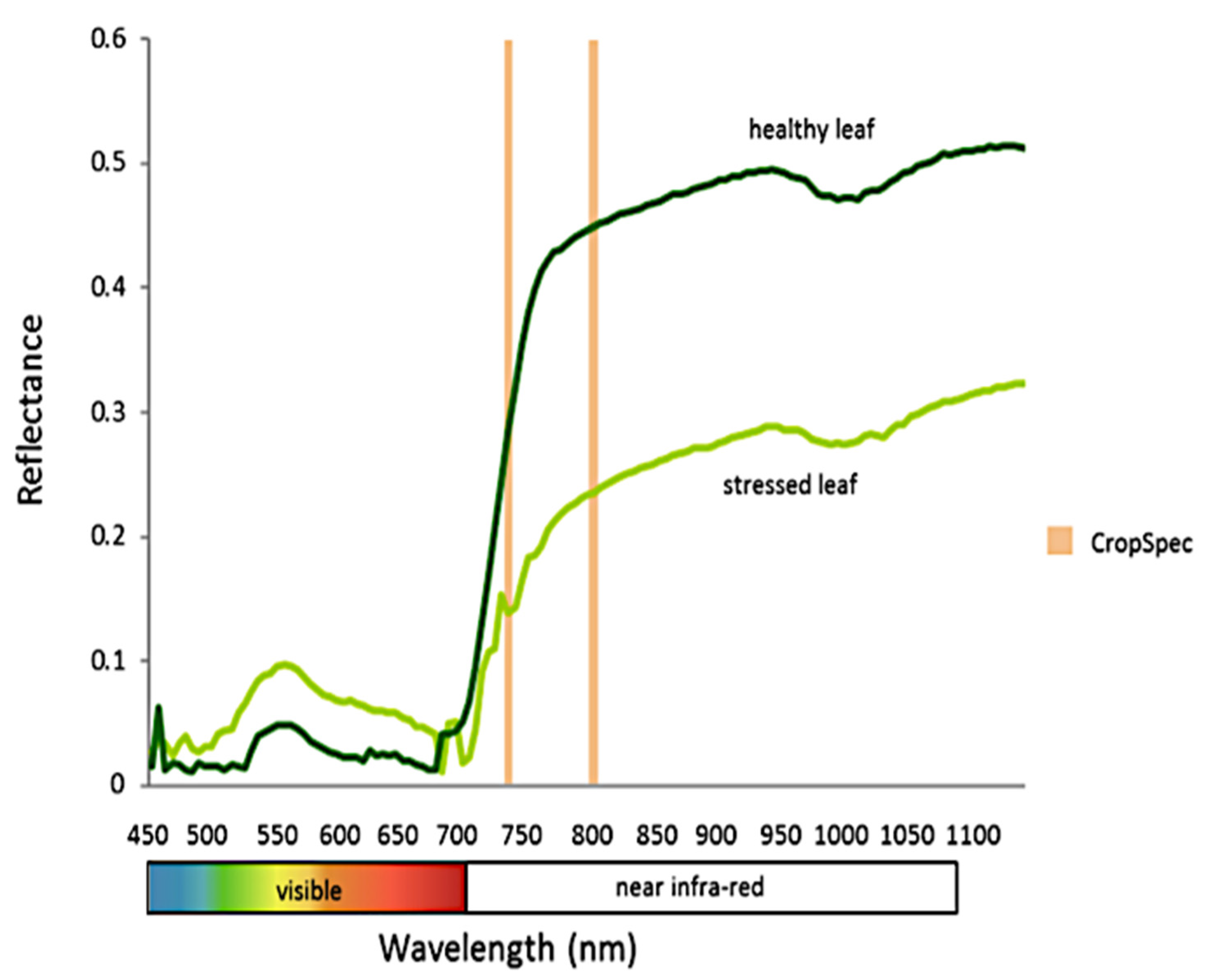 Applsci 12 02570 g003