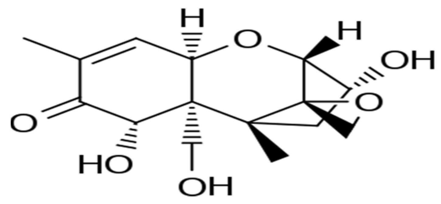 Applsci 12 02579 g001 550