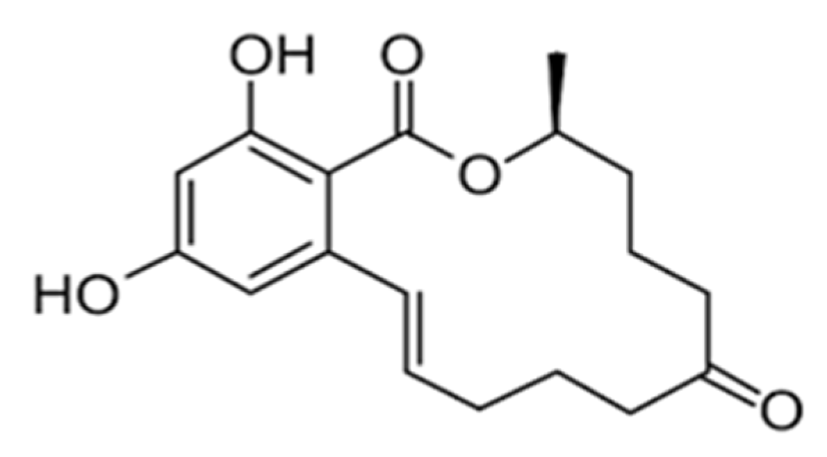 Applsci 12 02579 g004 550