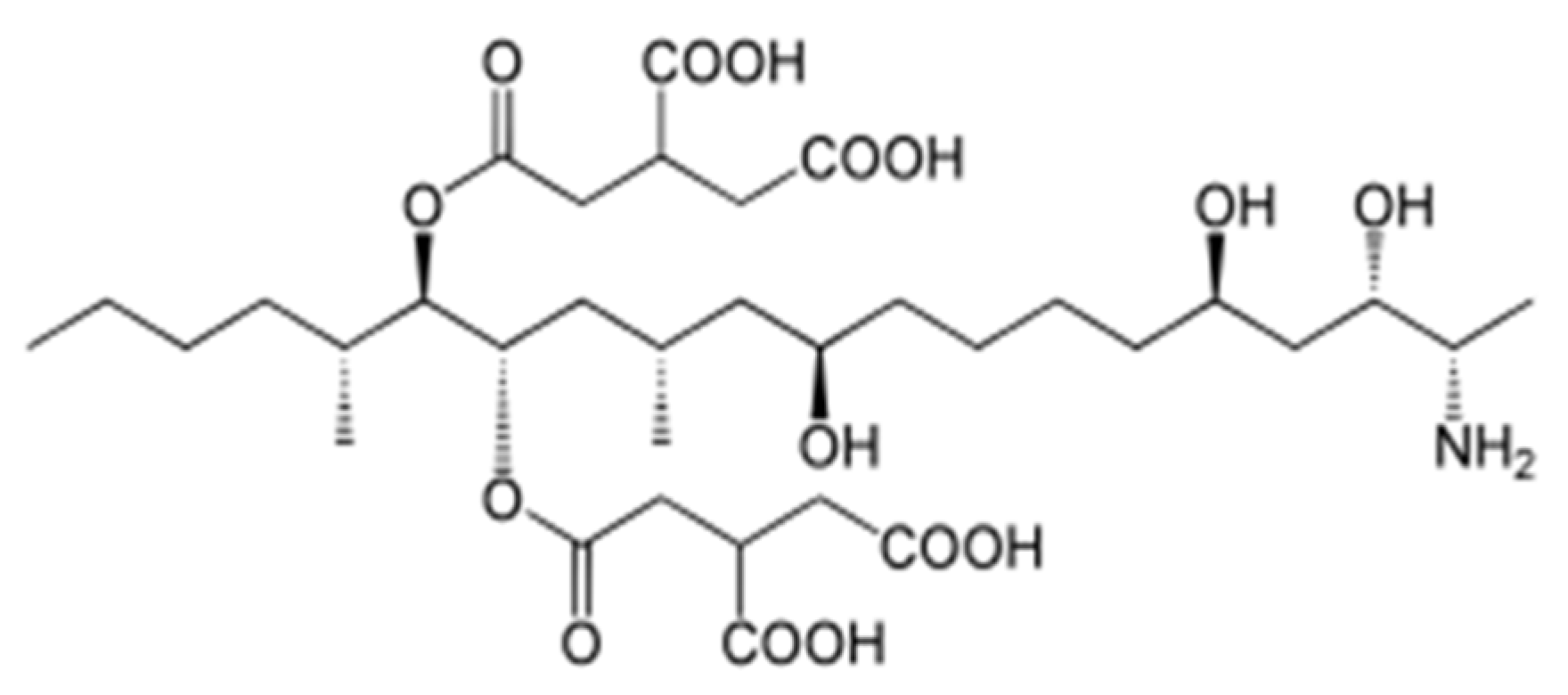 Applsci 12 02579 g007 550