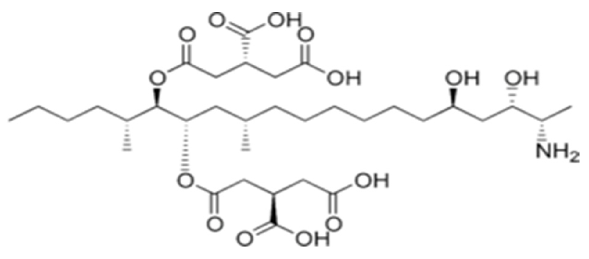 Applsci 12 02579 g008 550